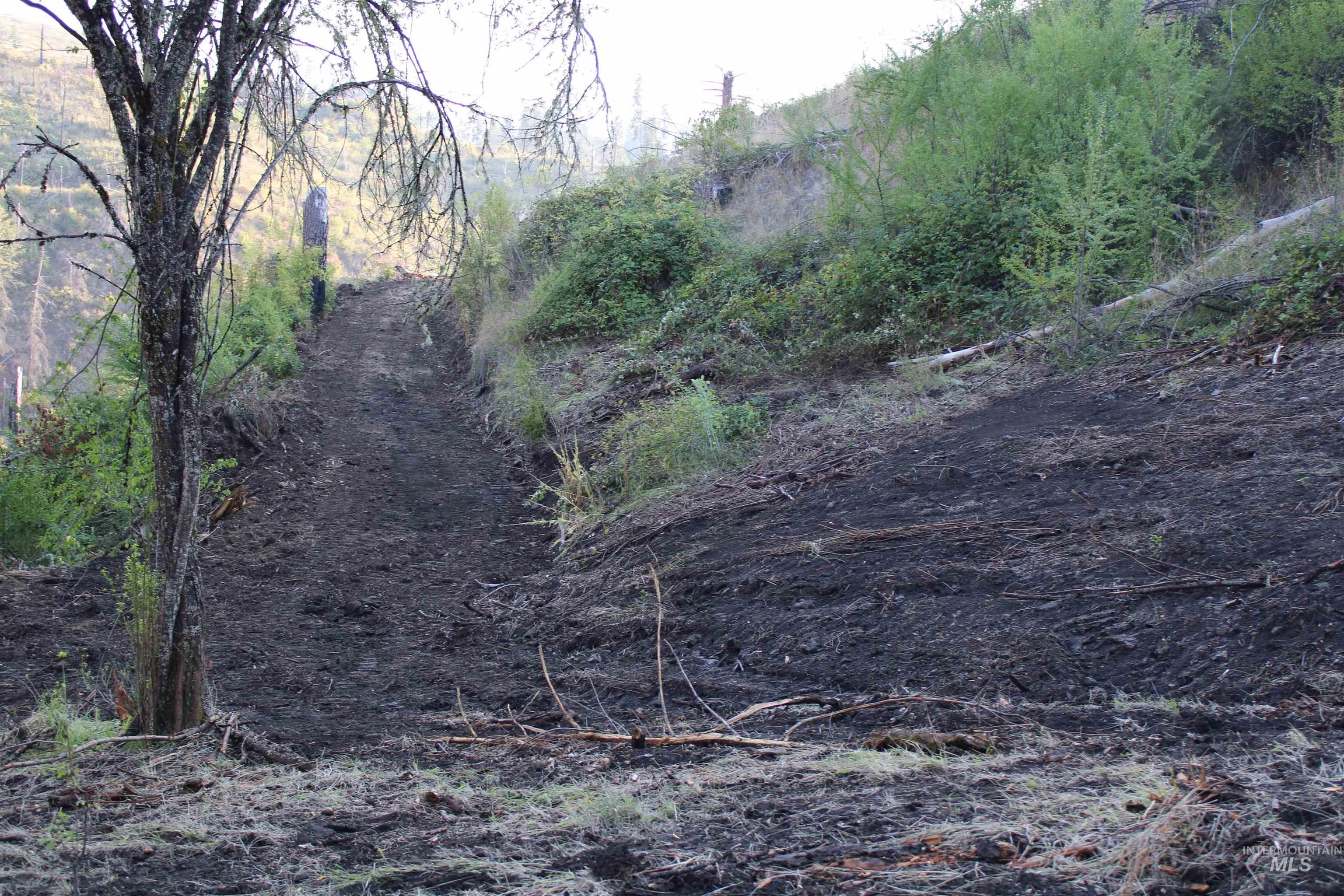 Tbd Glenwood Road Property Photo 23