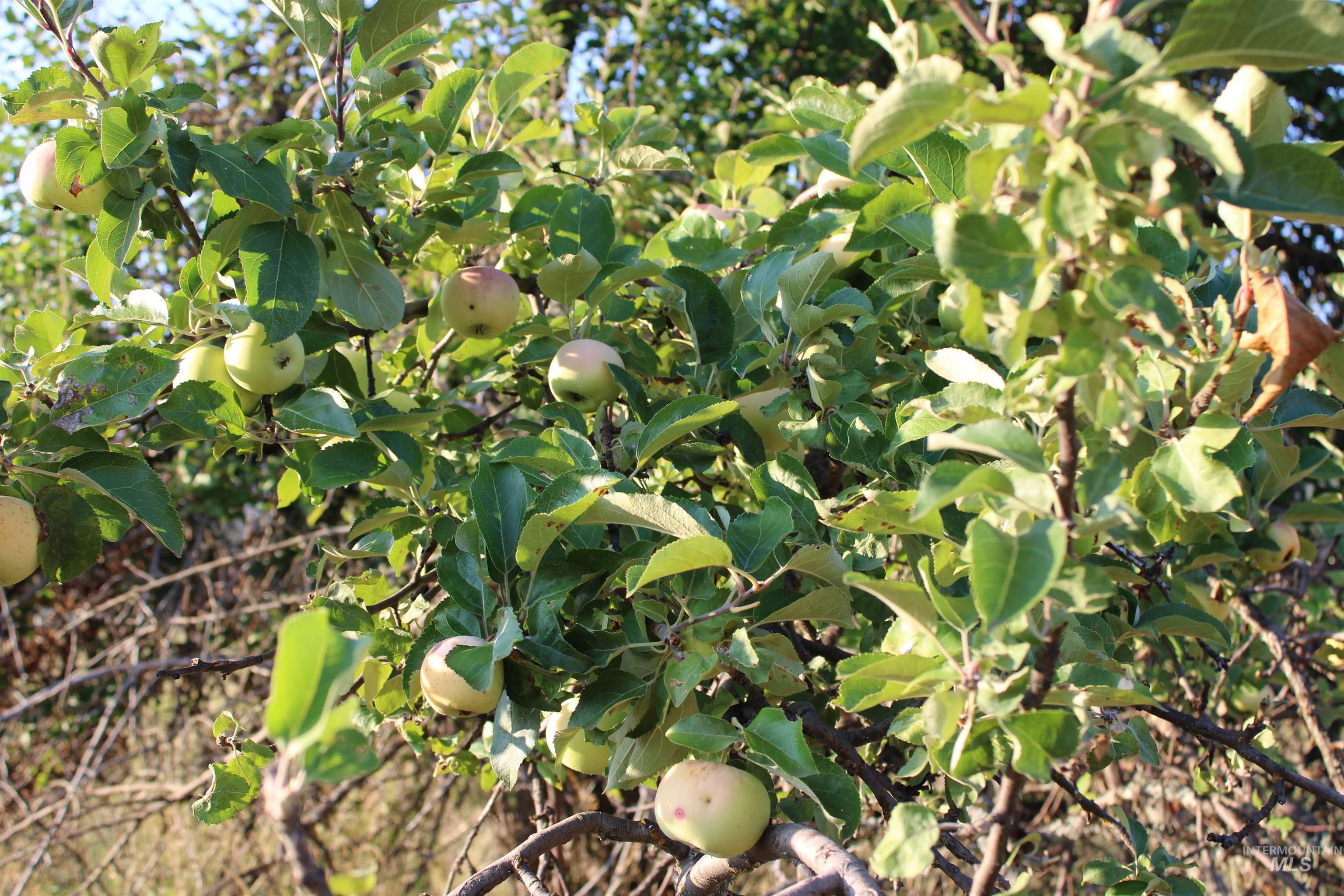 Tbd Glenwood Road Property Photo 39