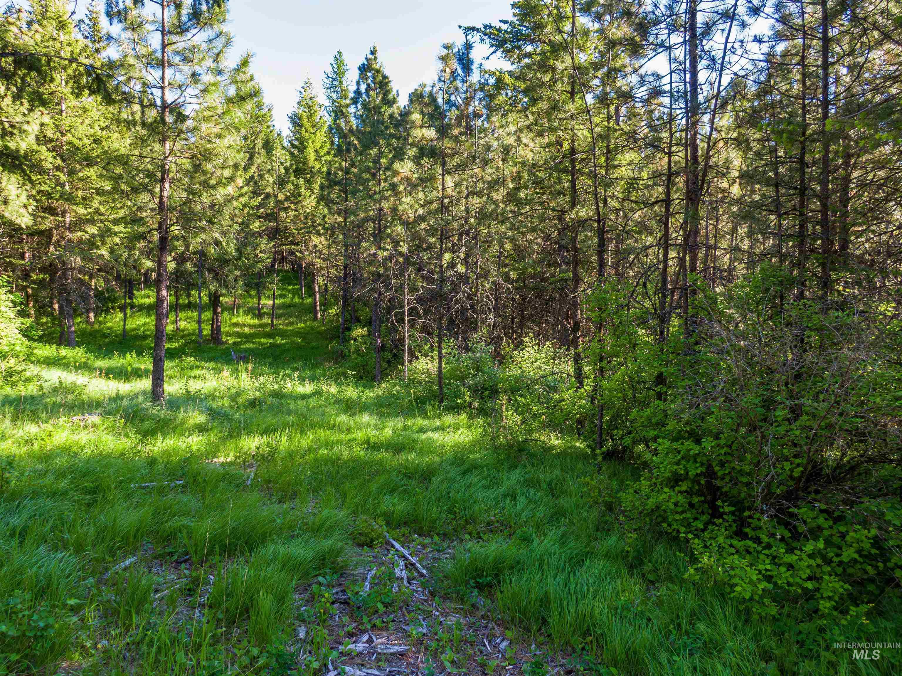 Tbd Liberty Lane Property Photo 7