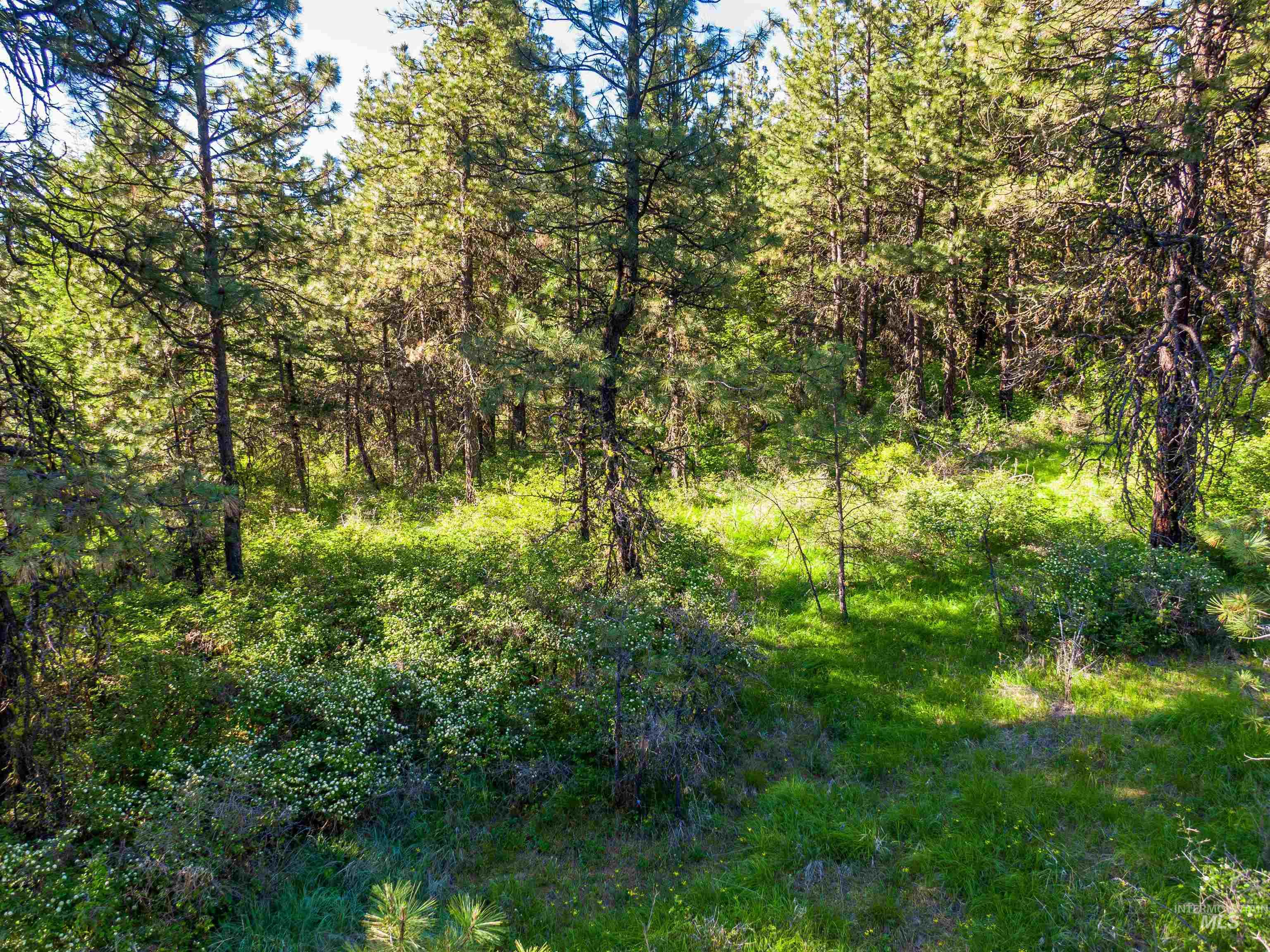 Tbd Liberty Lane Property Photo 10