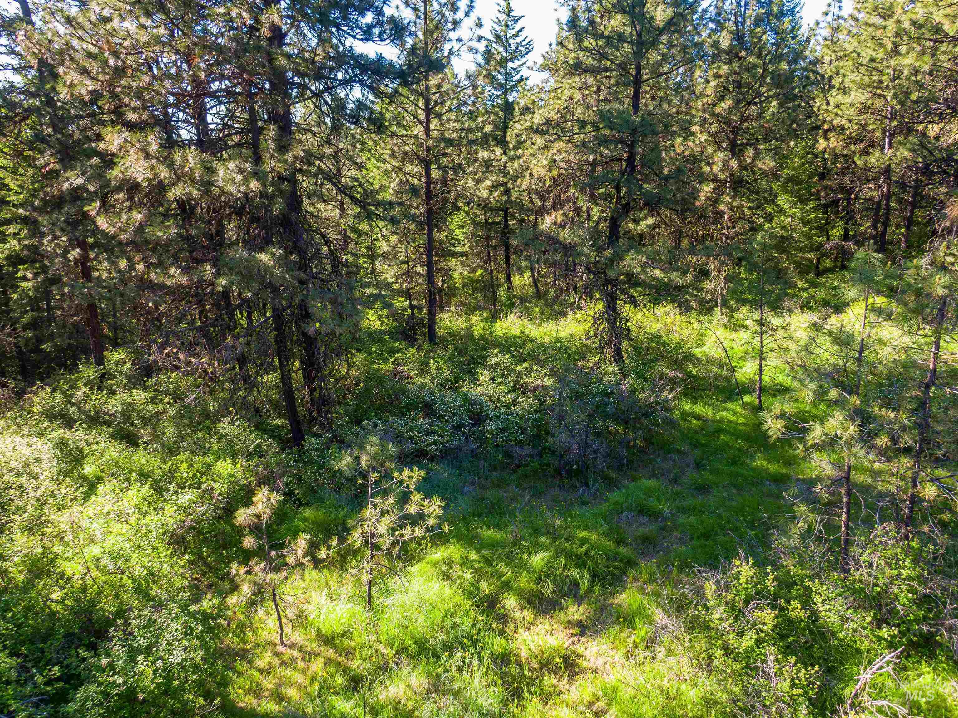 Tbd Liberty Lane Property Photo 11