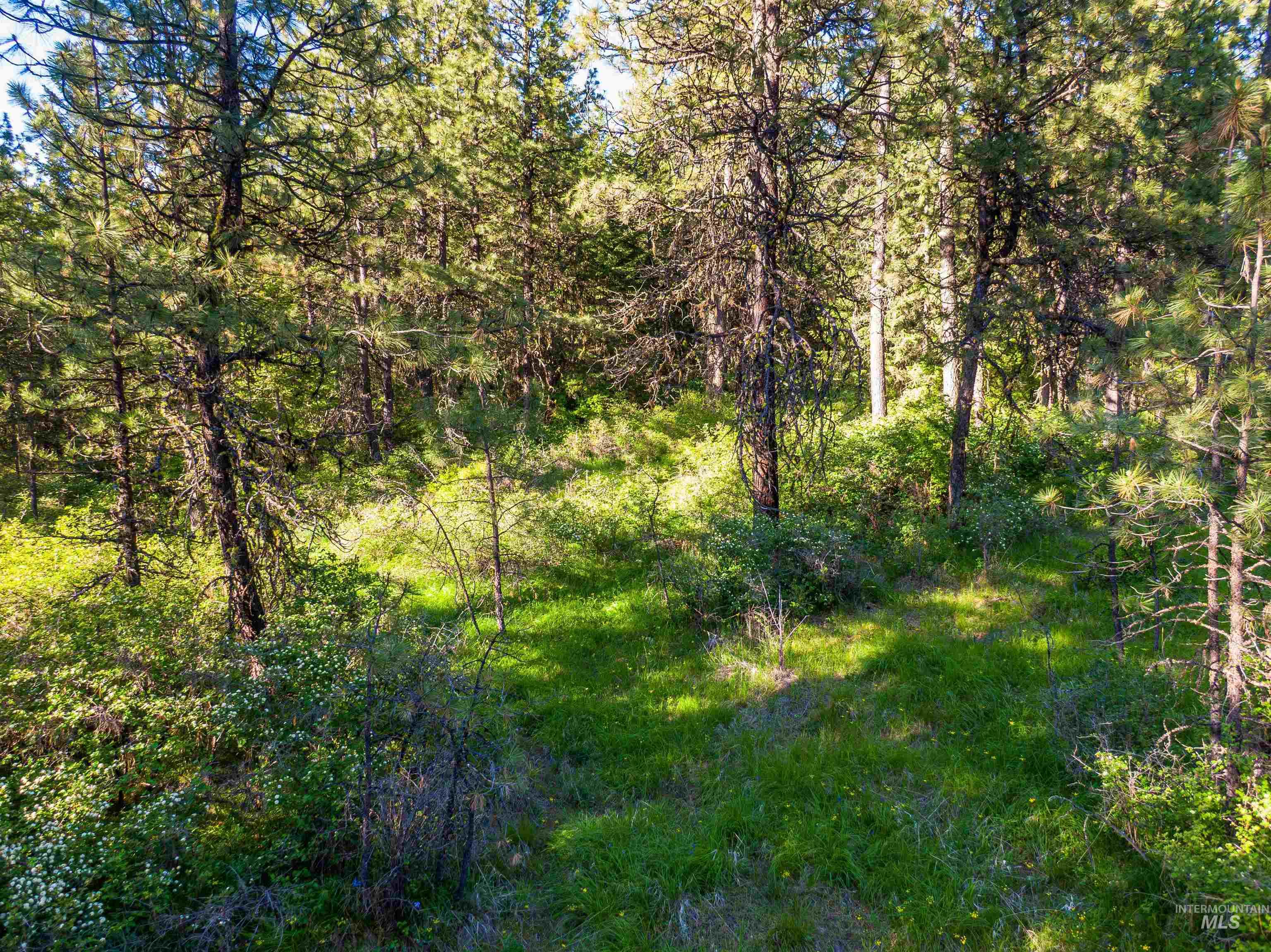 Tbd Liberty Lane Property Photo 13