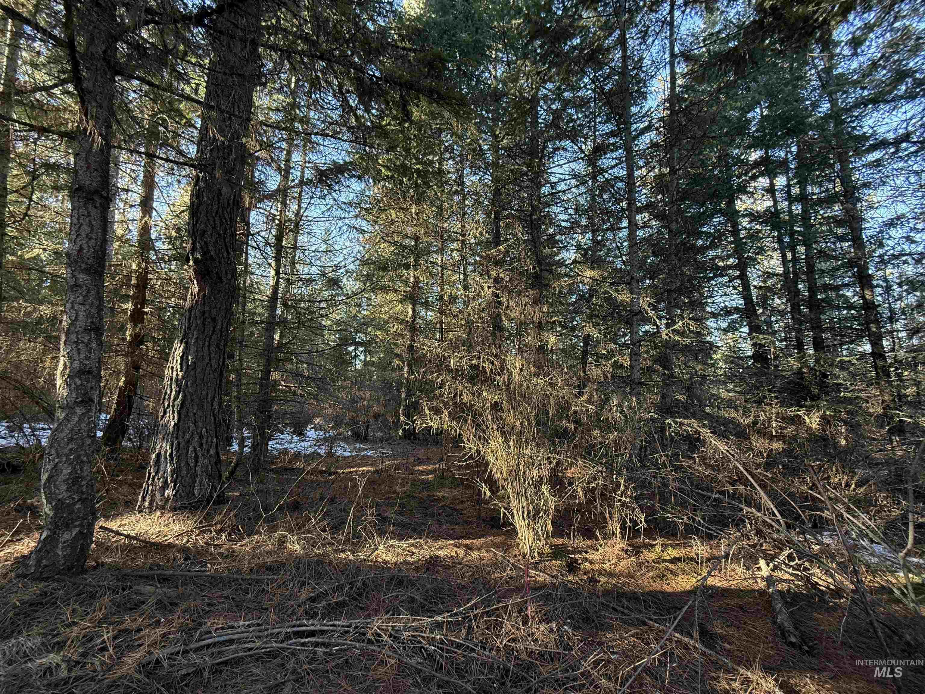Tbd Liberty Lane Property Photo 25