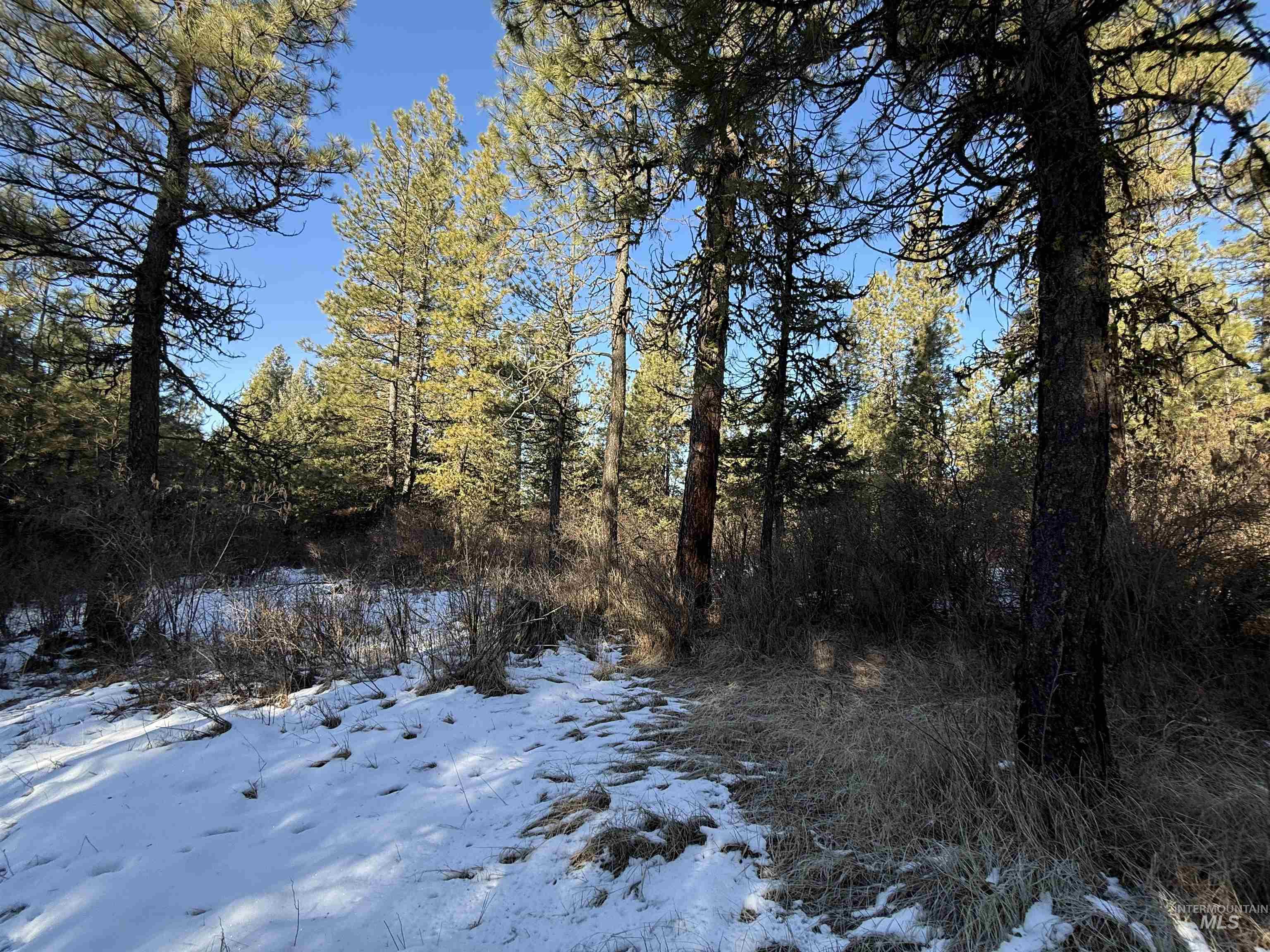 Tbd Liberty Lane Property Photo 30