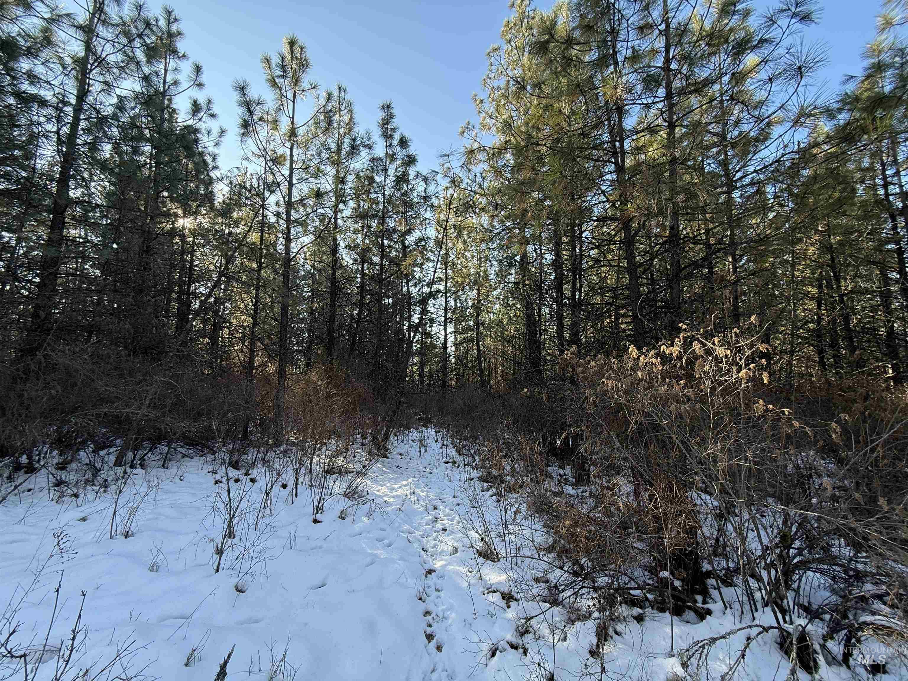 Tbd Liberty Lane Property Photo 37