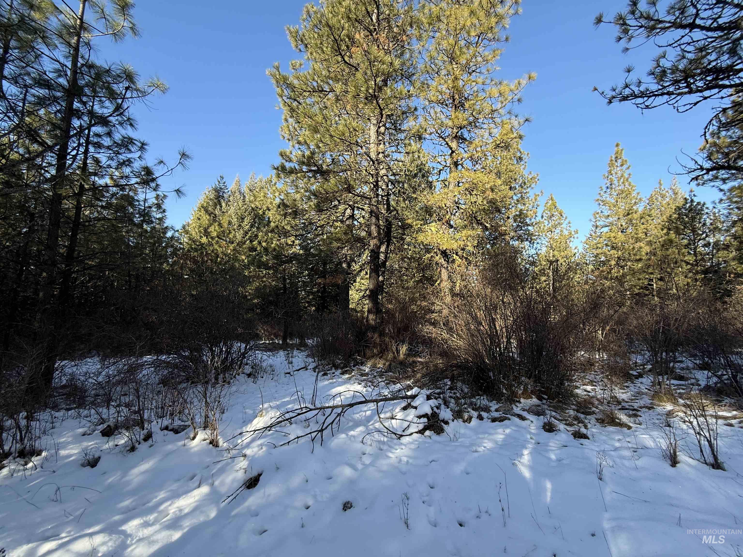 Tbd Liberty Lane Property Photo 38