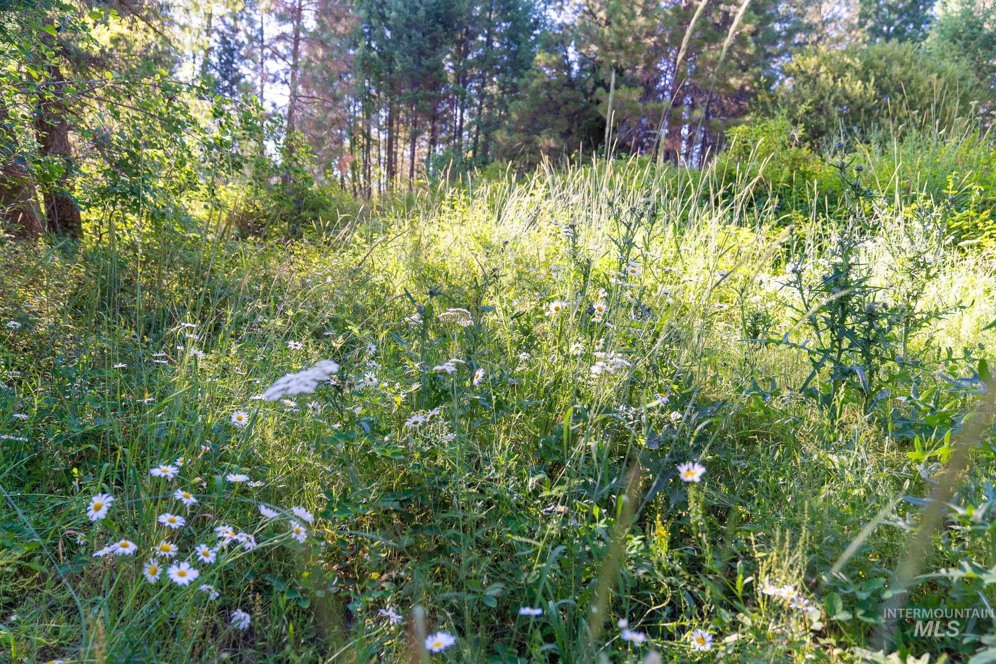 Tbd Goldfinch Rd Lot 24 Property Photo 8