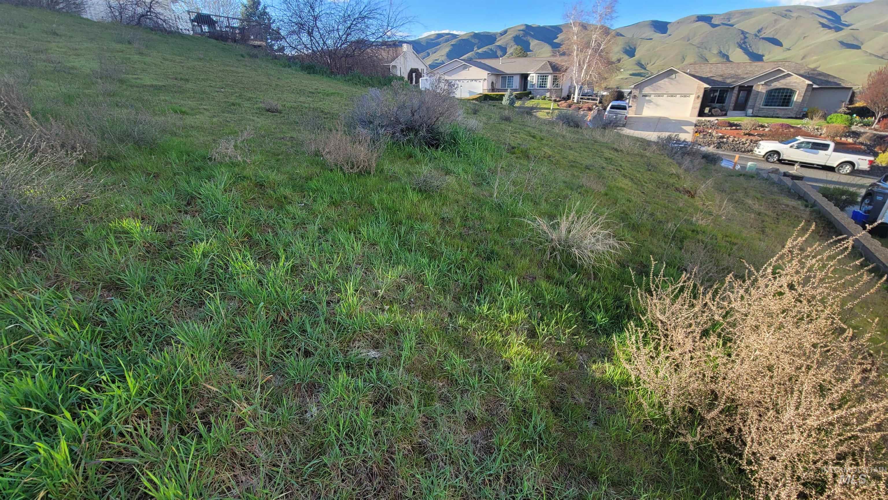 1817 Frederickson Dr. Property Photo 8