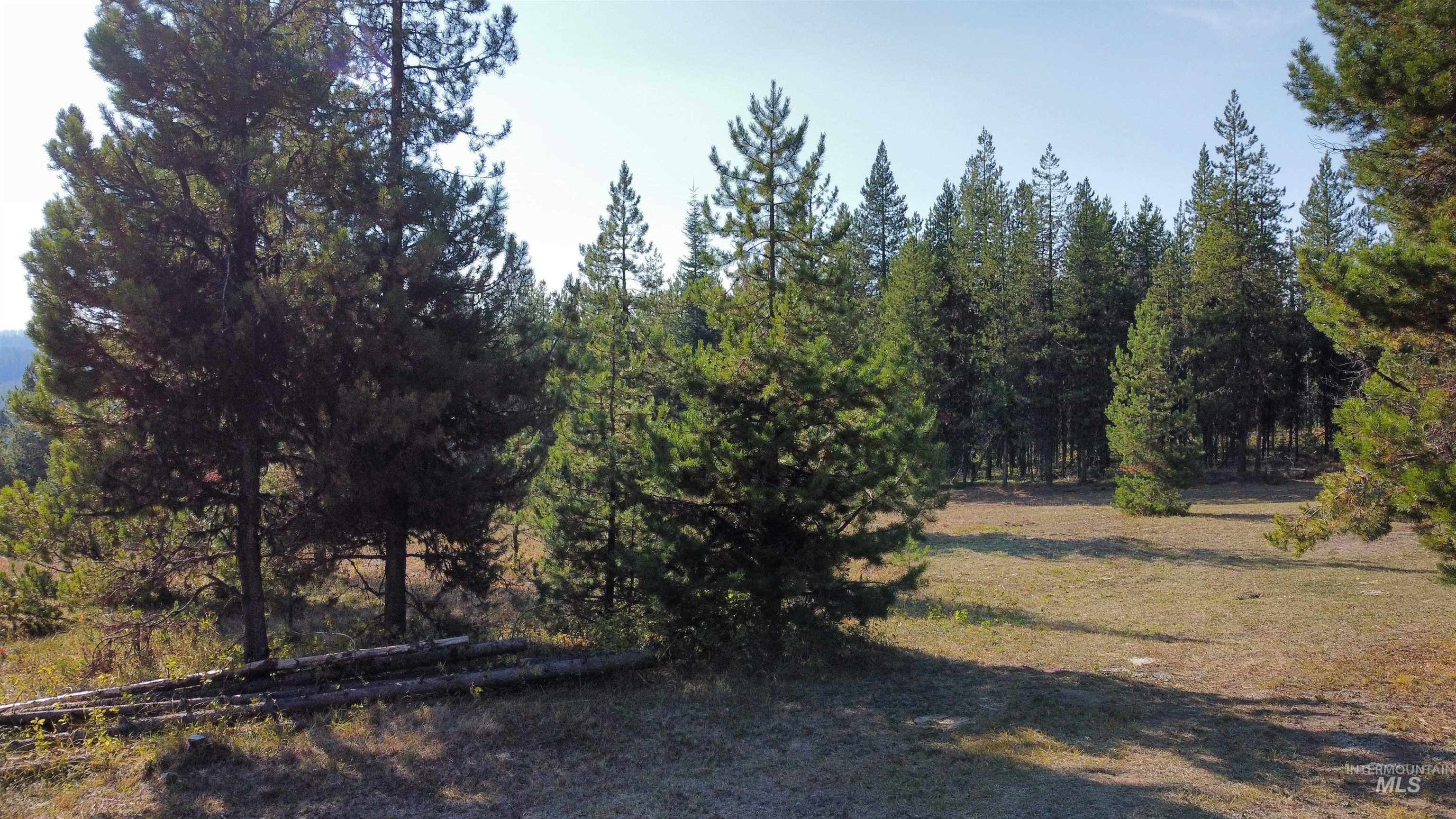 Tbd Cold Springs Property Photo