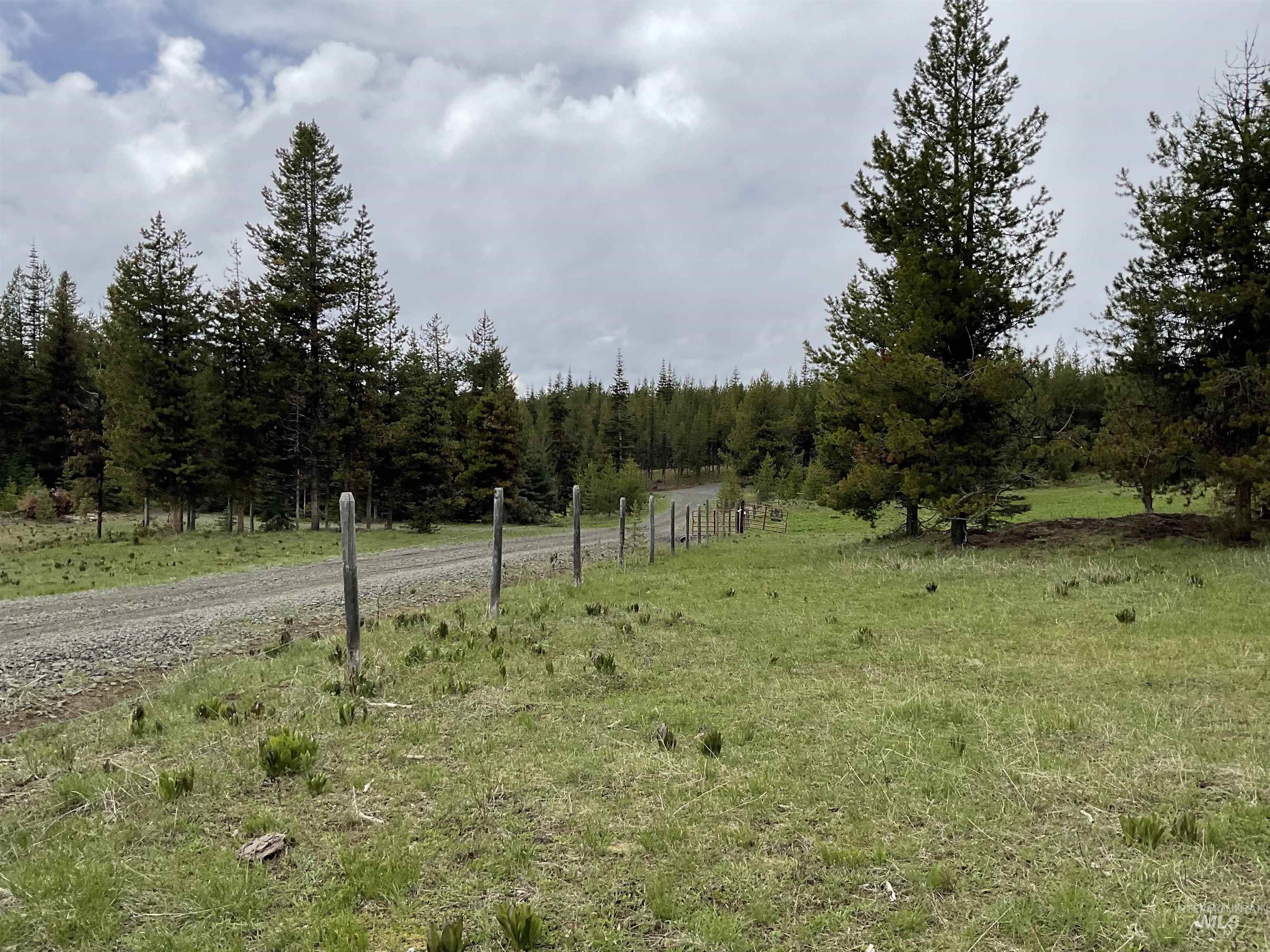 Tbd Cold Springs Property Photo 1