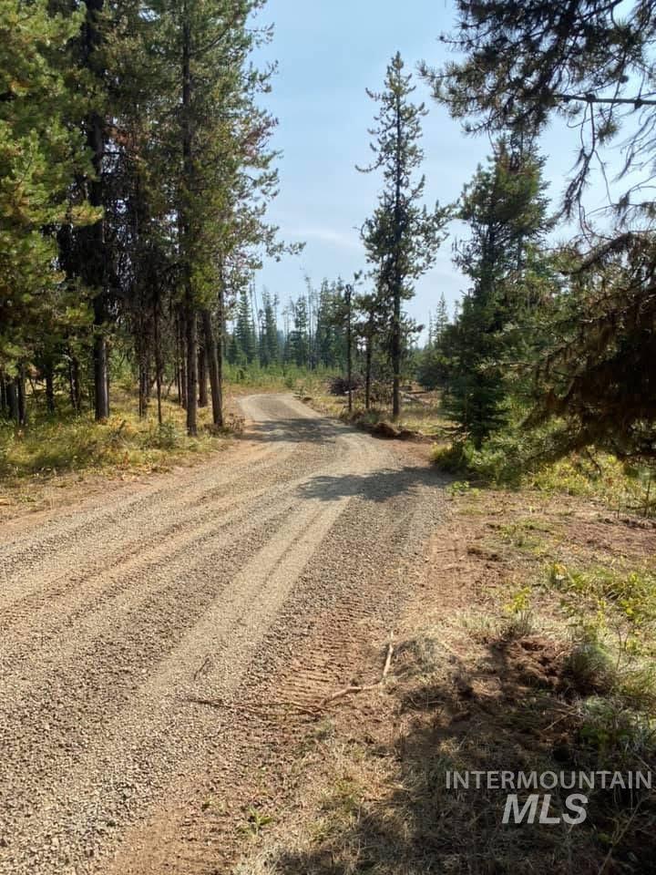 Tbd Cold Springs Property Photo 2