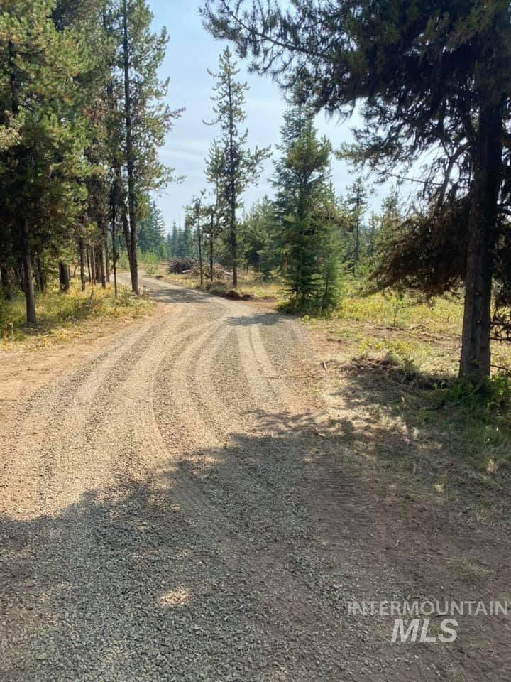 Tbd Cold Springs Property Photo 3