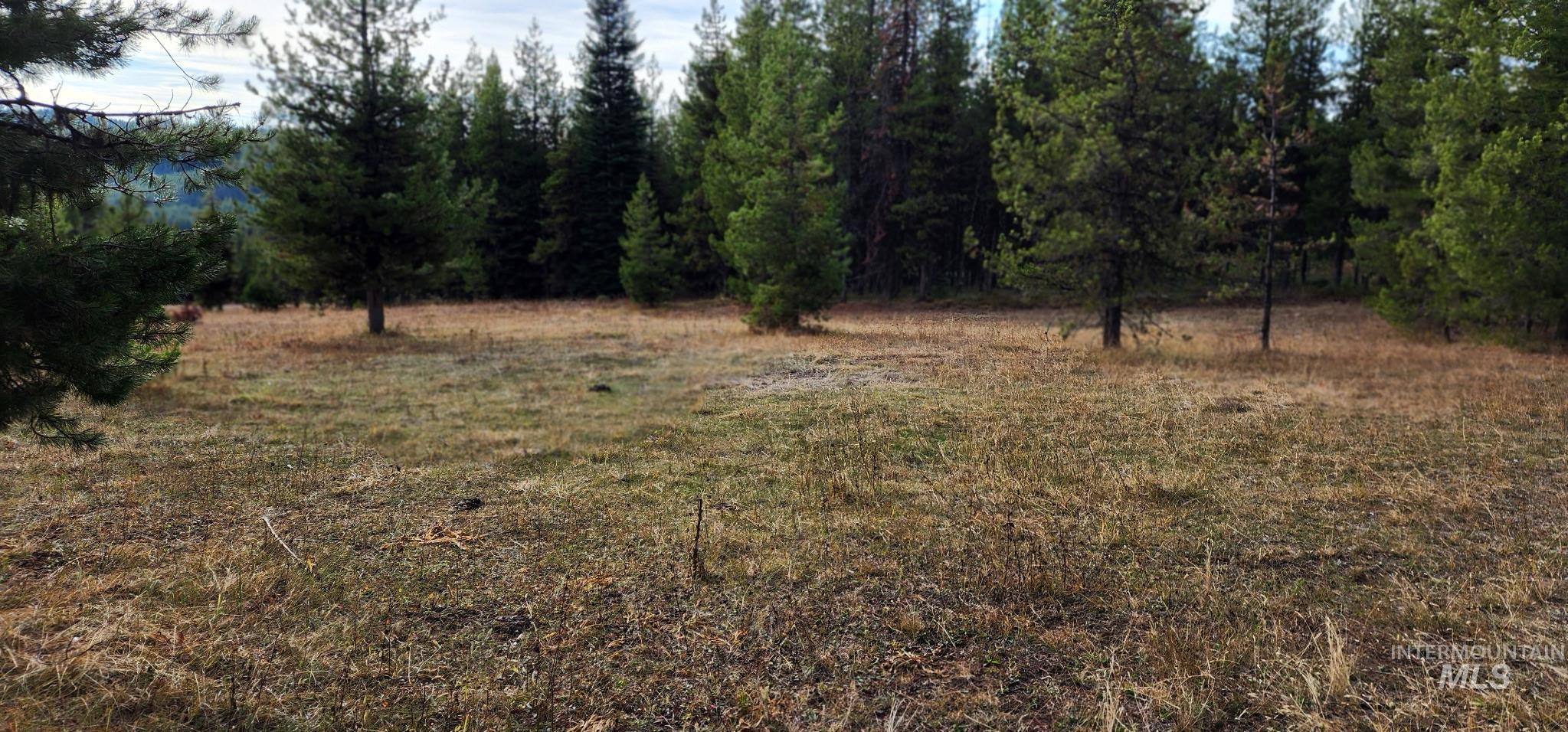 Tbd Cold Springs Property Photo 8