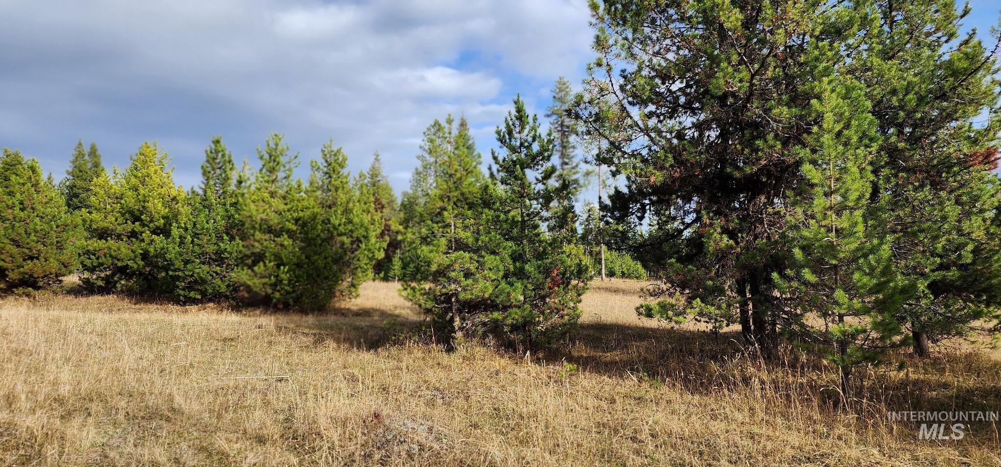 Tbd Cold Springs Property Photo 9