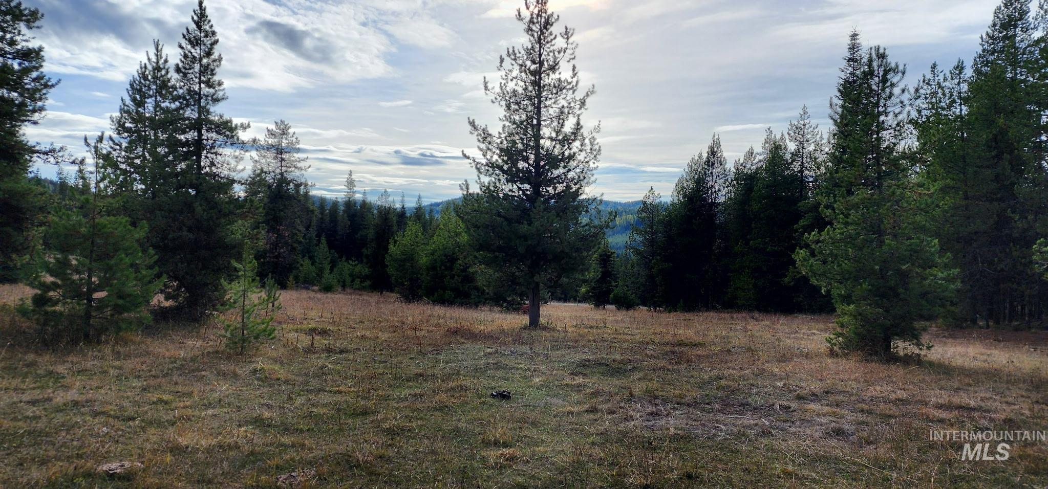 Tbd Cold Springs Property Photo 11