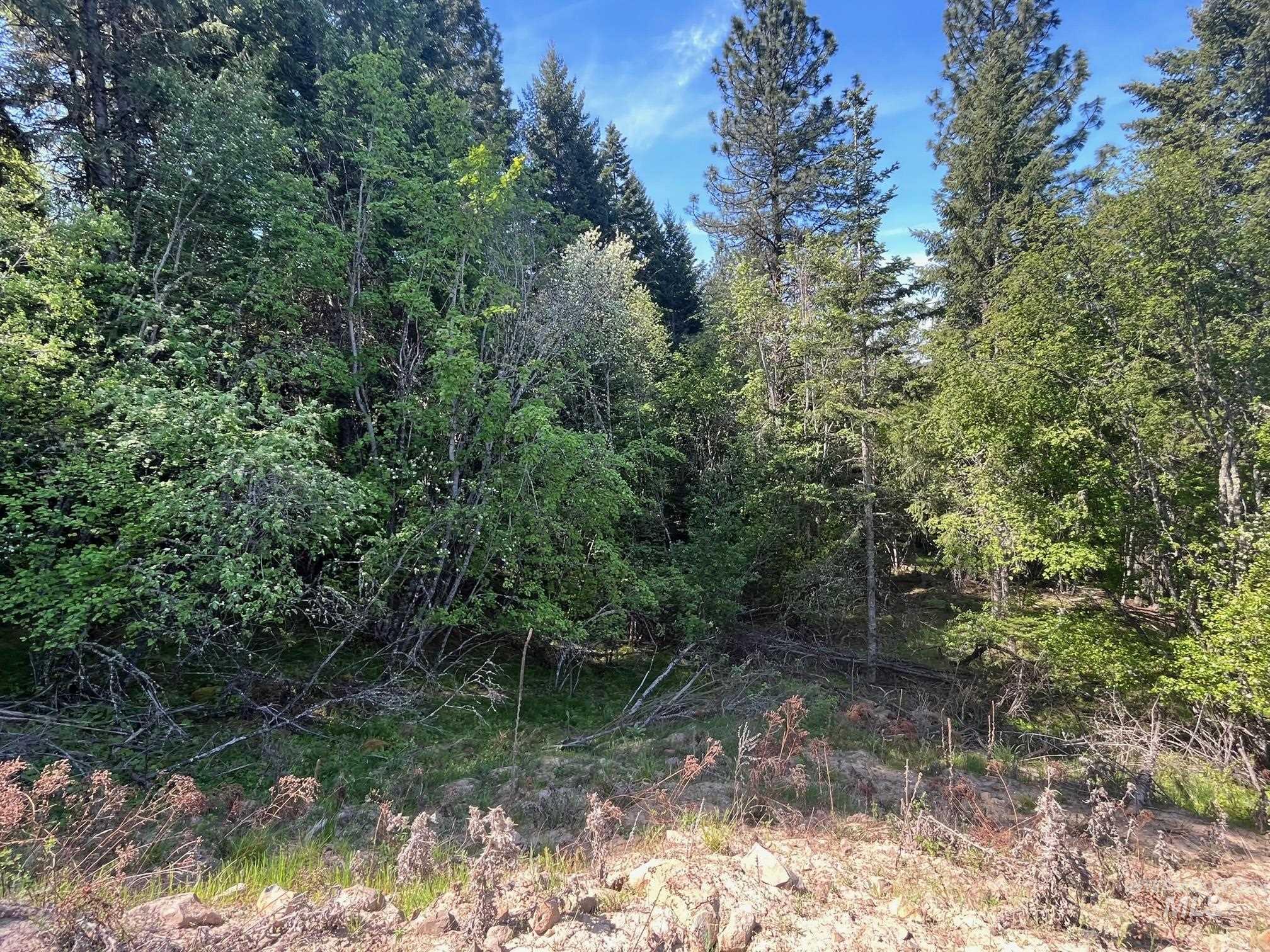 5756 Lakeview Rd Property Photo 12