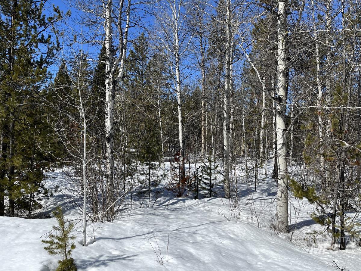 202 Angus Lane Property Photo