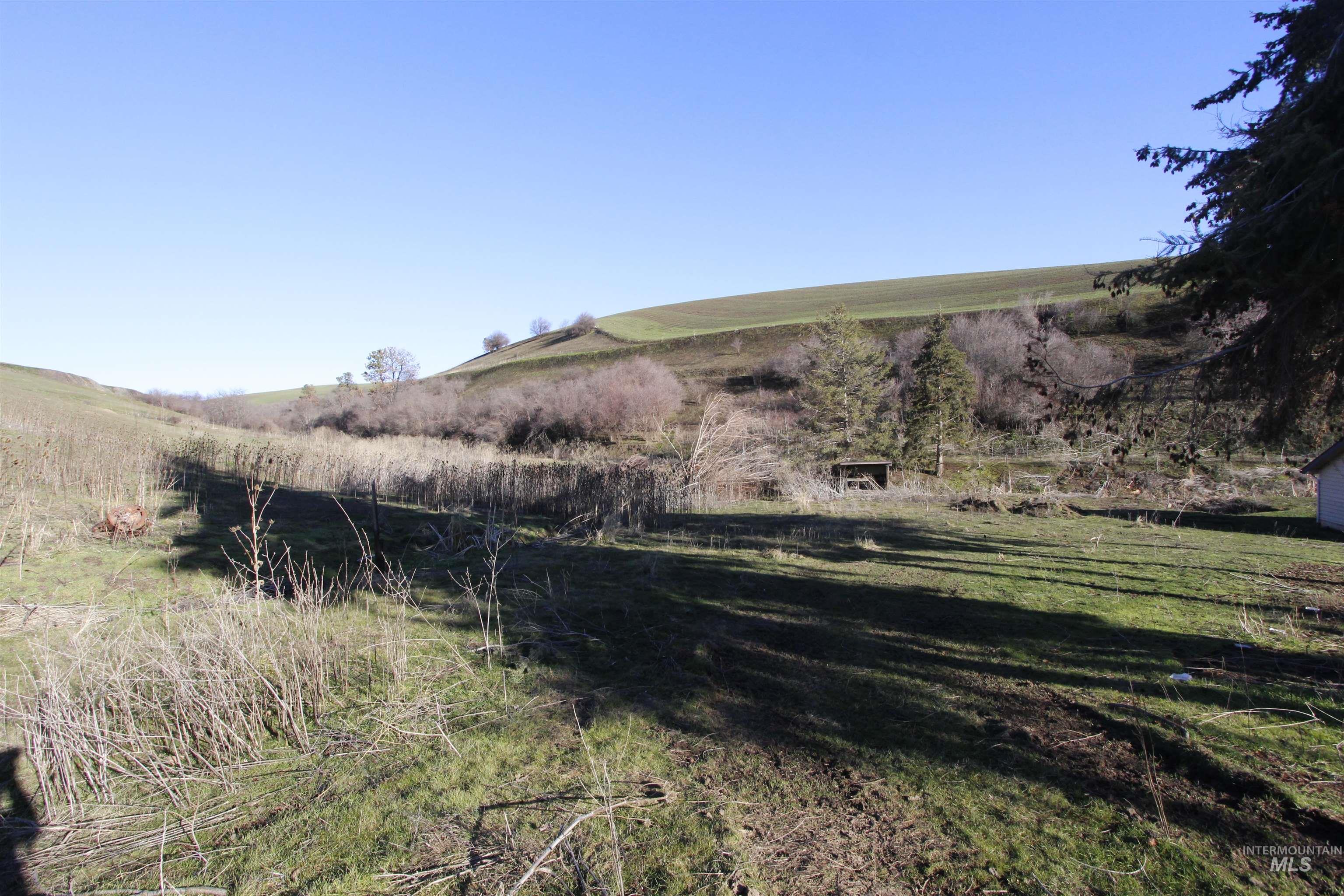 22236 Gunsmoke Canyon Property Photo 15