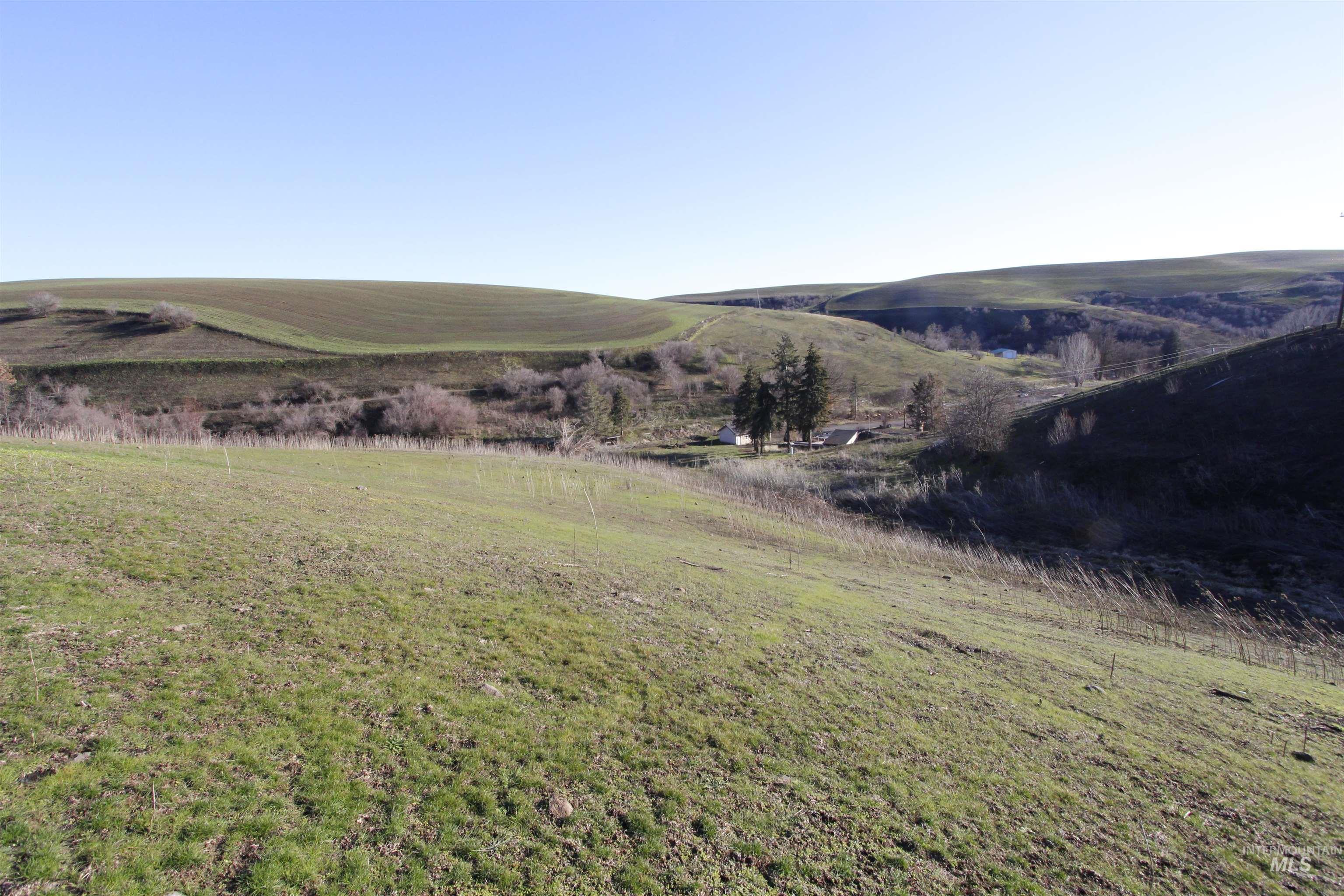 22236 Gunsmoke Canyon Property Photo 16