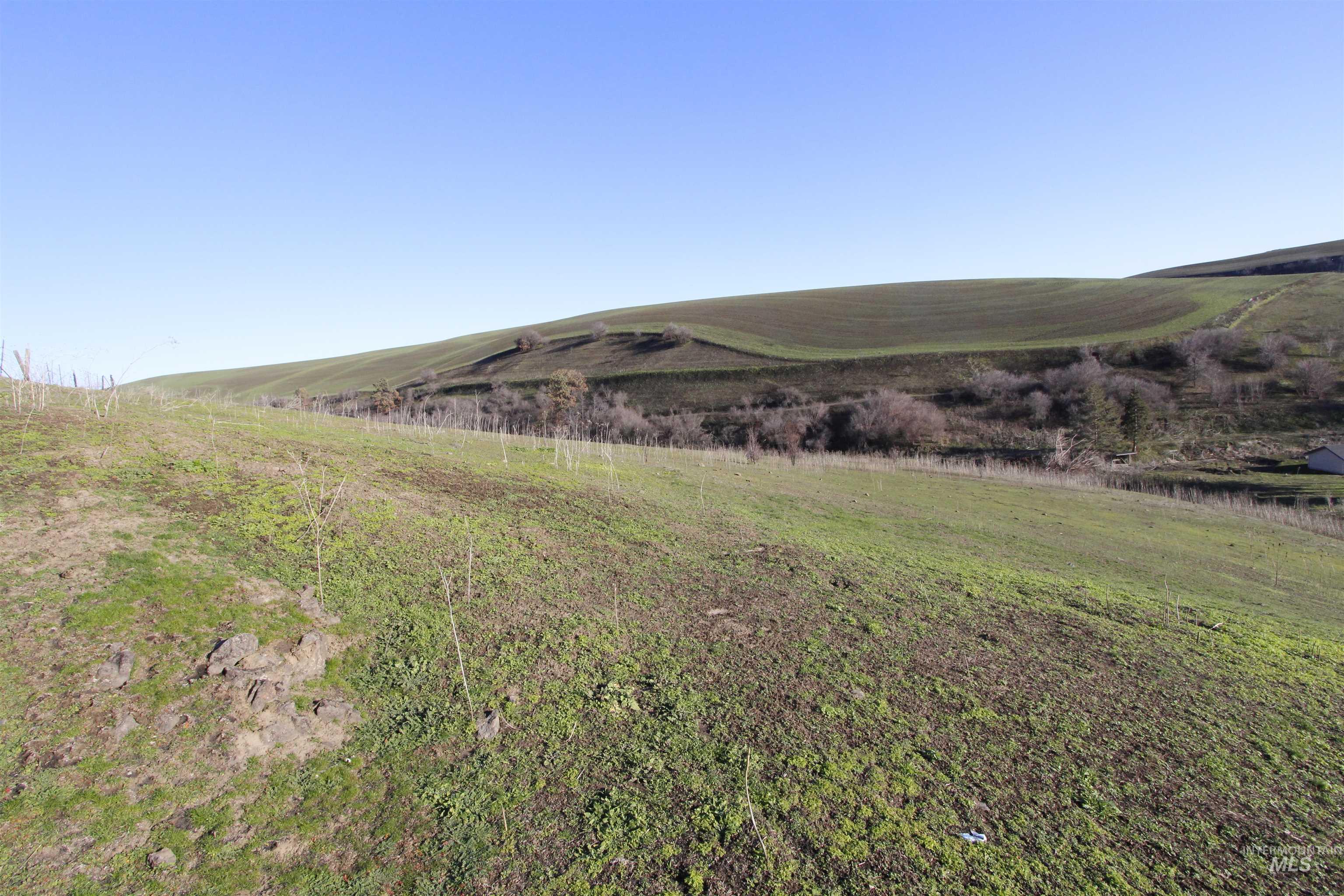 22236 Gunsmoke Canyon Property Photo 17