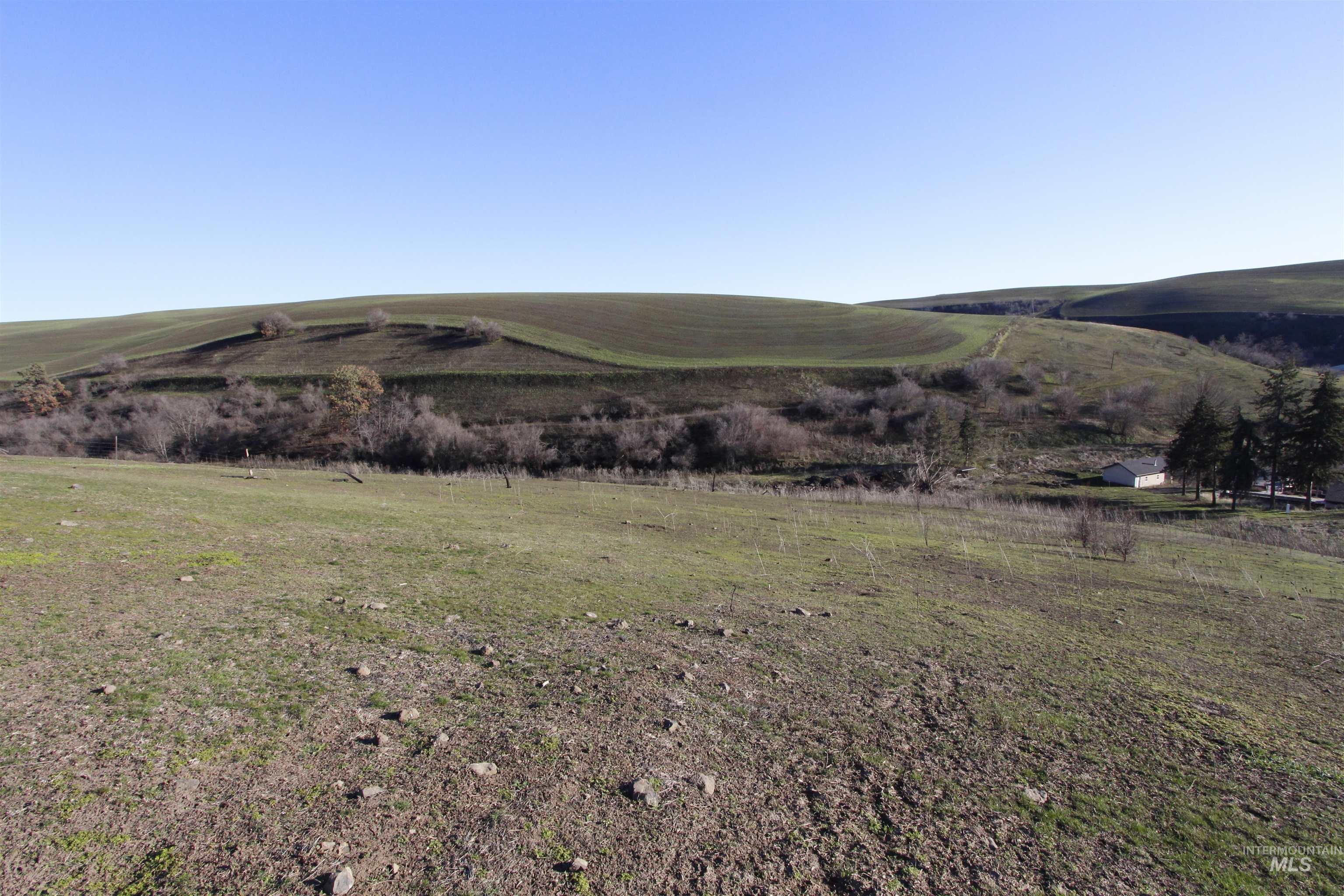 22236 Gunsmoke Canyon Property Photo 18