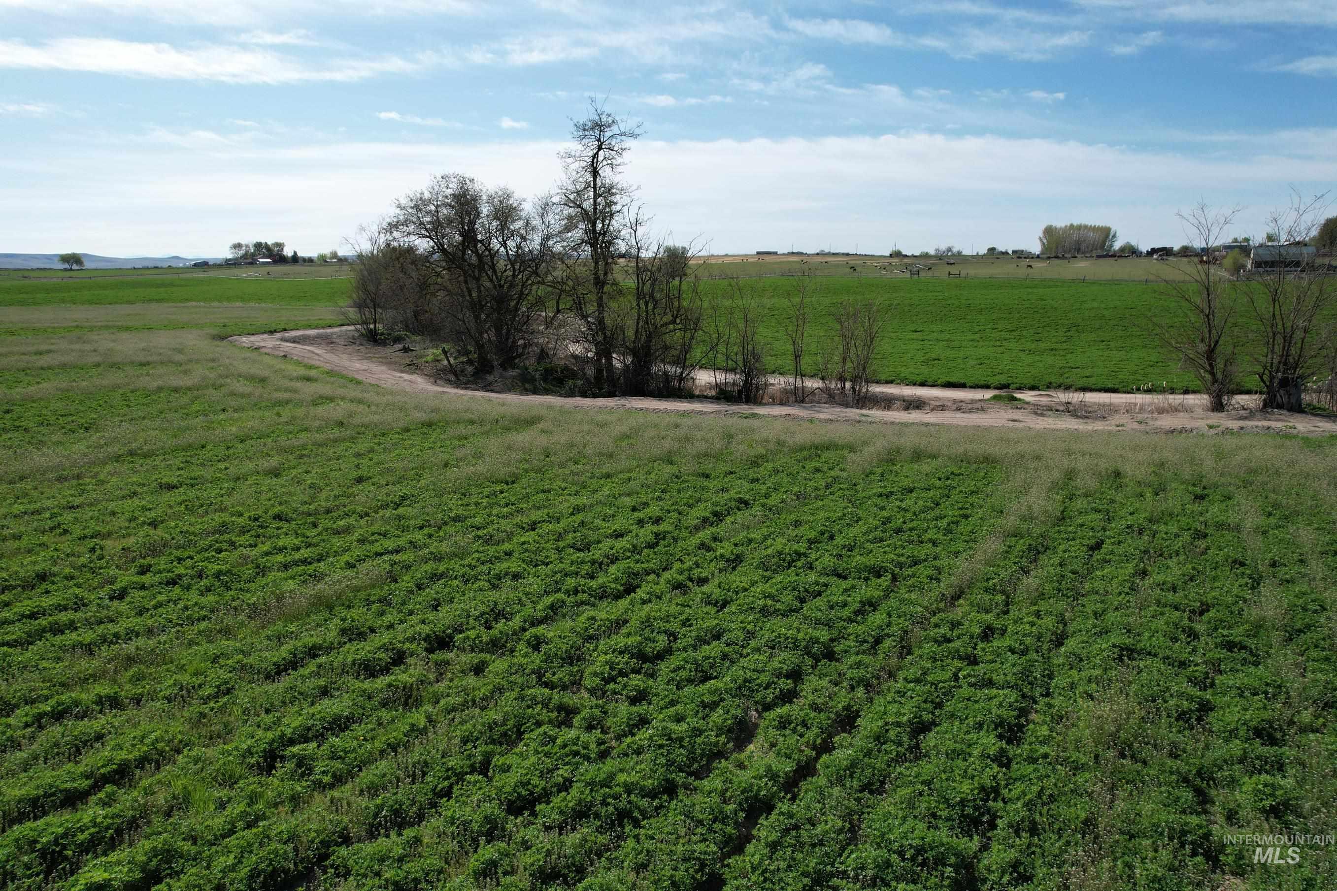 Tbd Kimball Road Property Photo 6