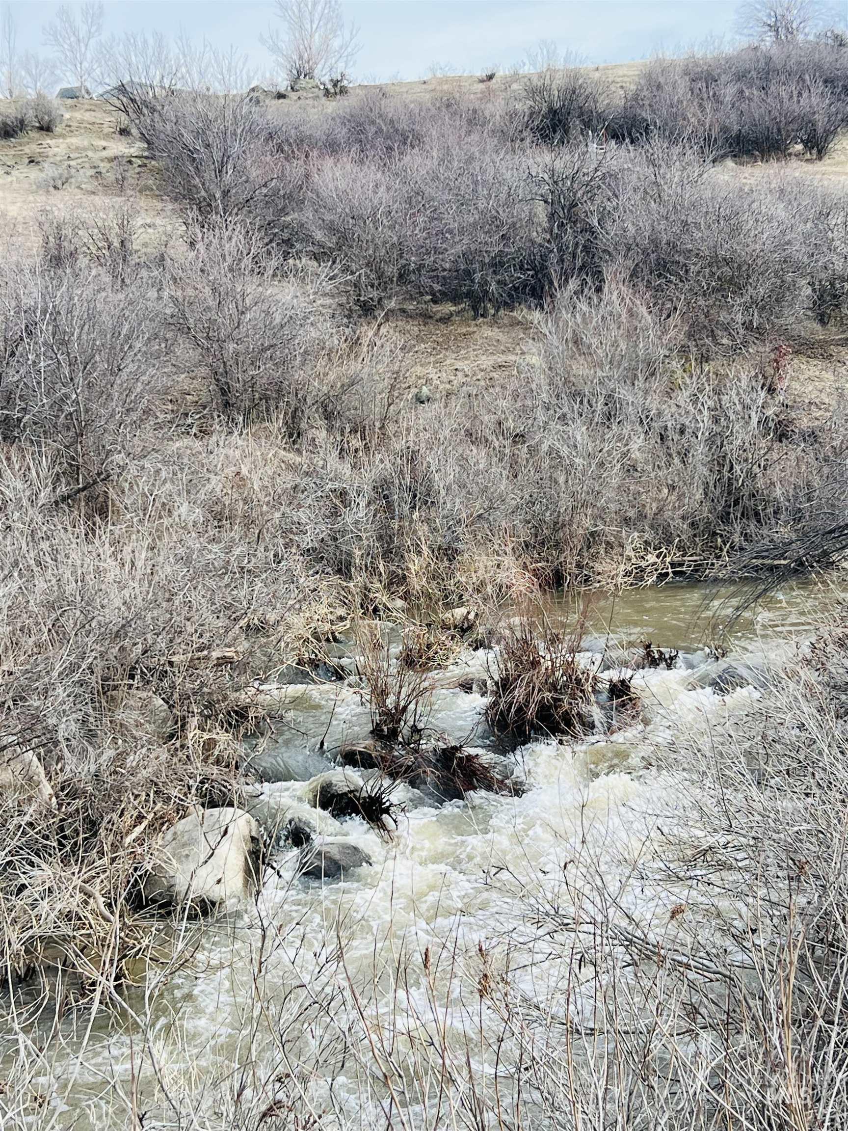 Tbd Harris Creek Road Property Photo 5
