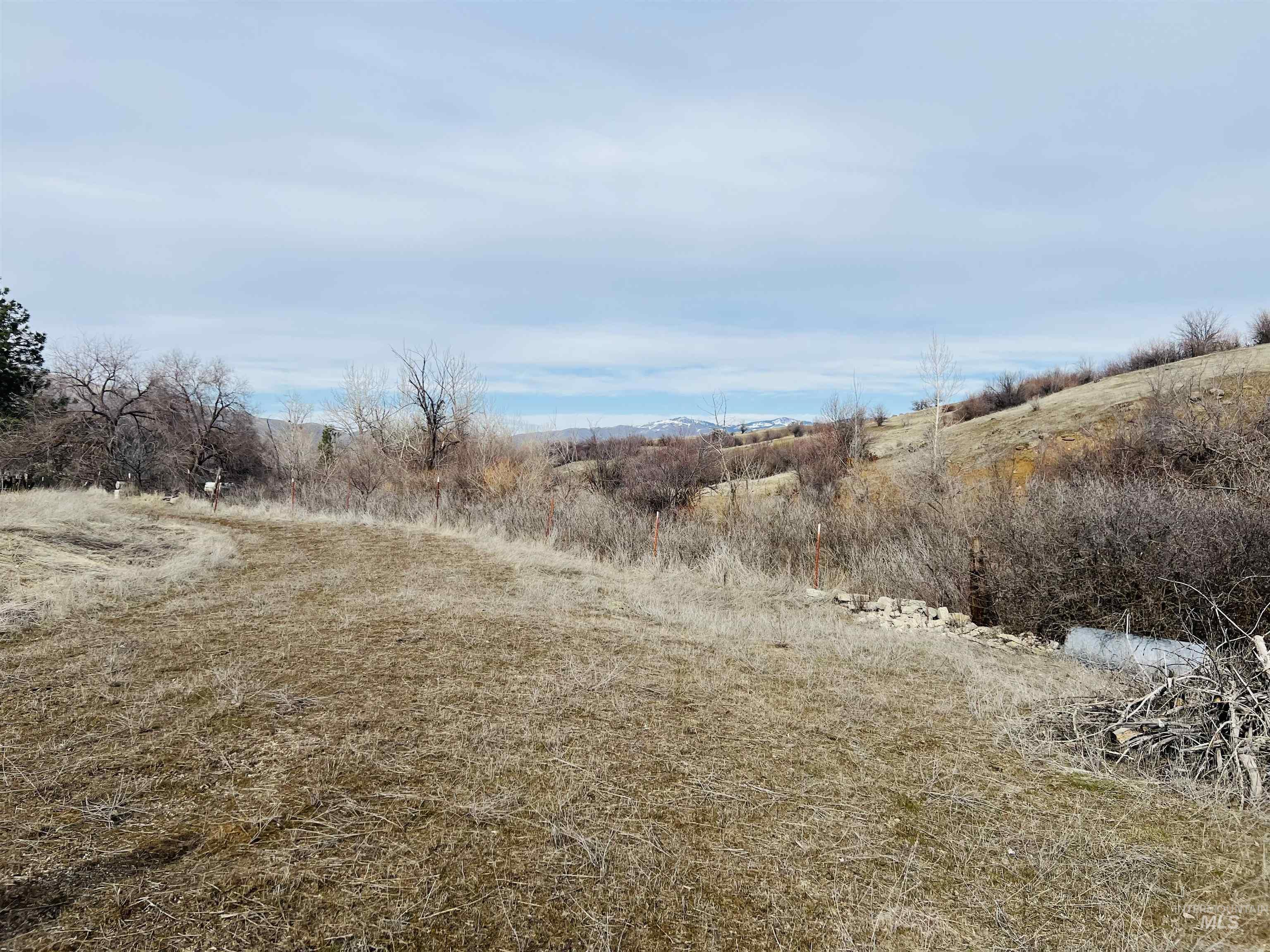 Tbd Harris Creek Road Property Photo 6