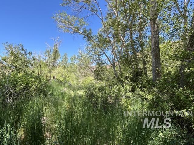 Tbd Ne Syrup Creek Rd. Property Photo 11