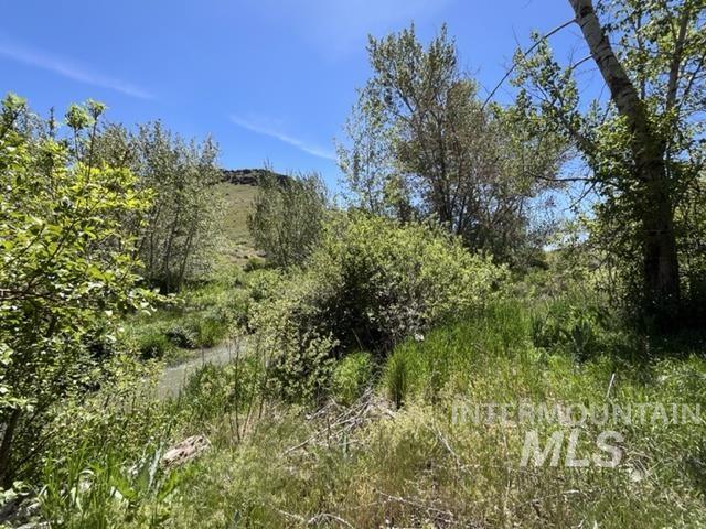 Tbd Ne Syrup Creek Rd. Property Photo 12