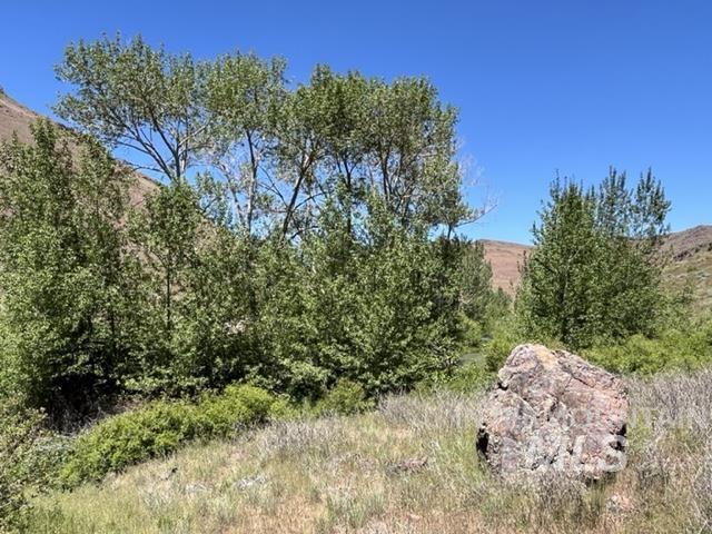 Tbd Ne Syrup Creek Rd. Property Photo 13