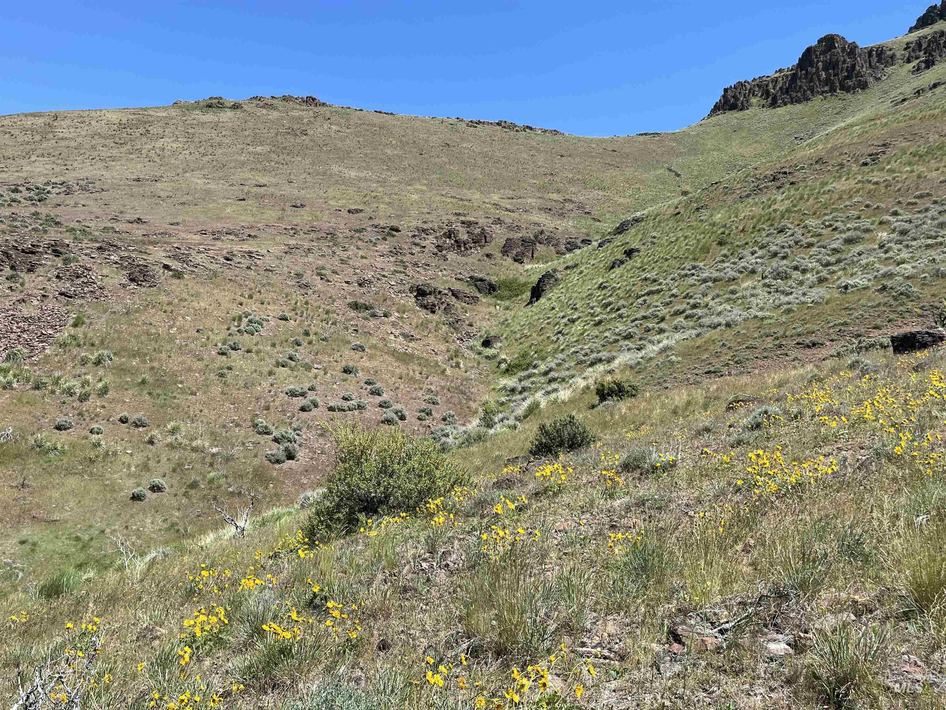 Tbd Ne Syrup Creek Rd. Property Photo 23