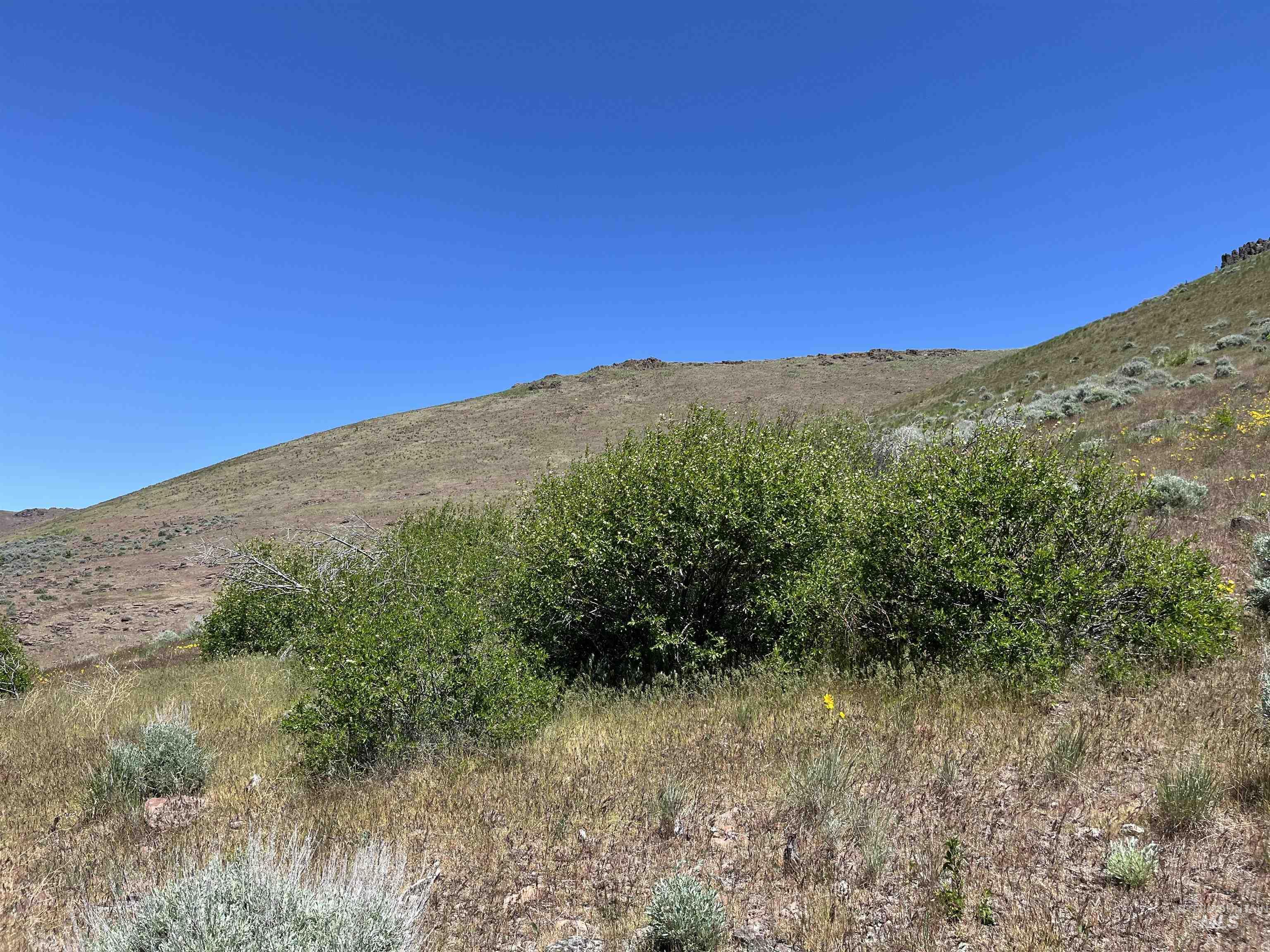 Tbd Ne Syrup Creek Rd. Property Photo 24