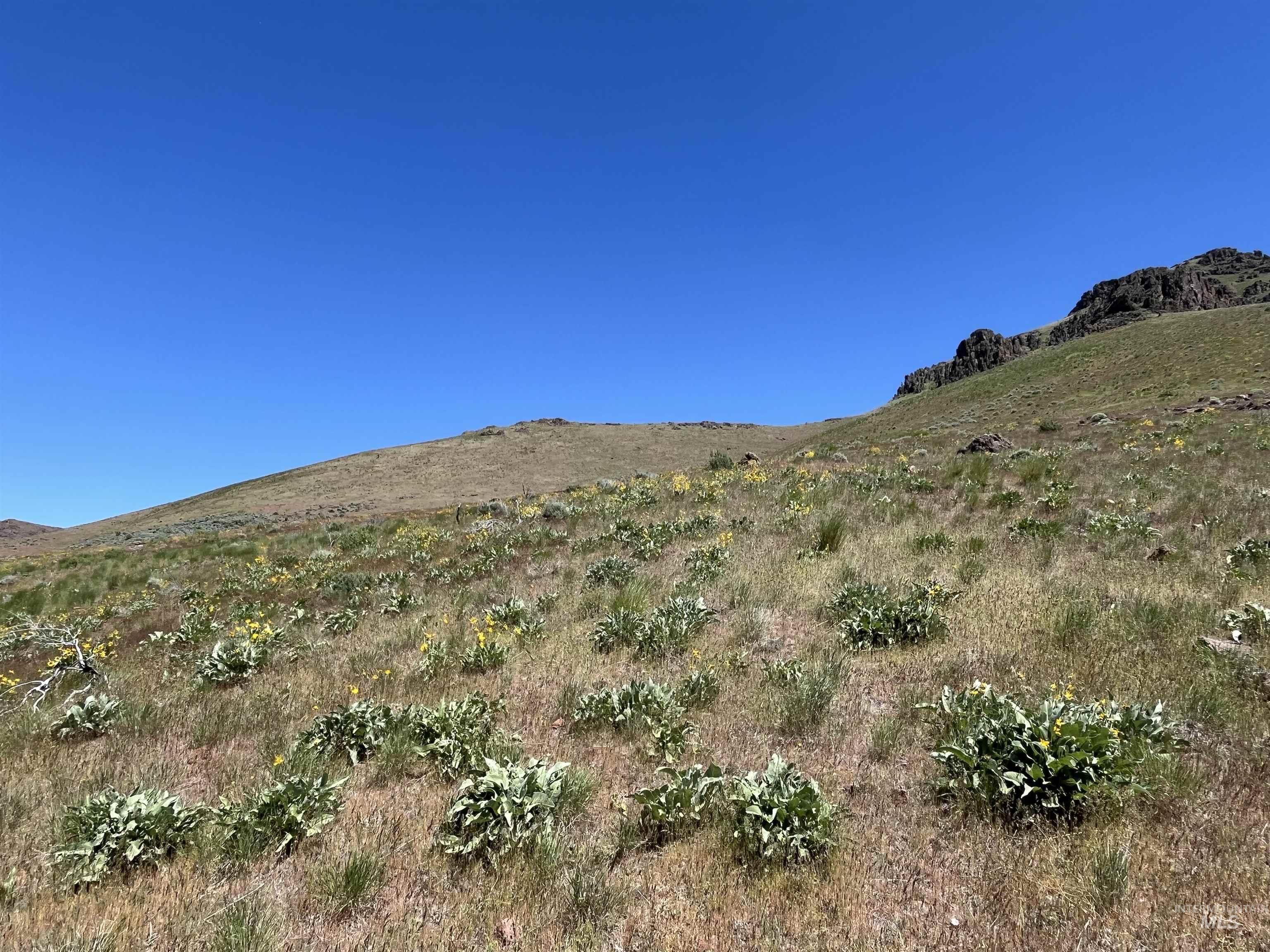 Tbd Ne Syrup Creek Rd. Property Photo 25