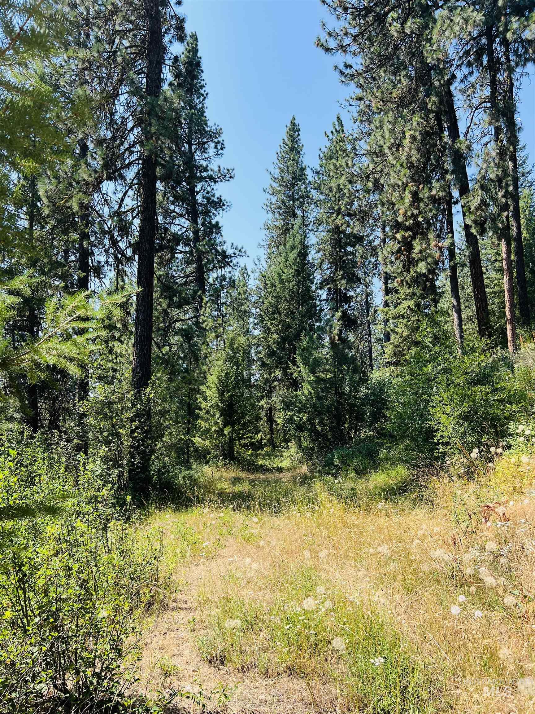 Lot 1 B6 Summerset Property Photo 14