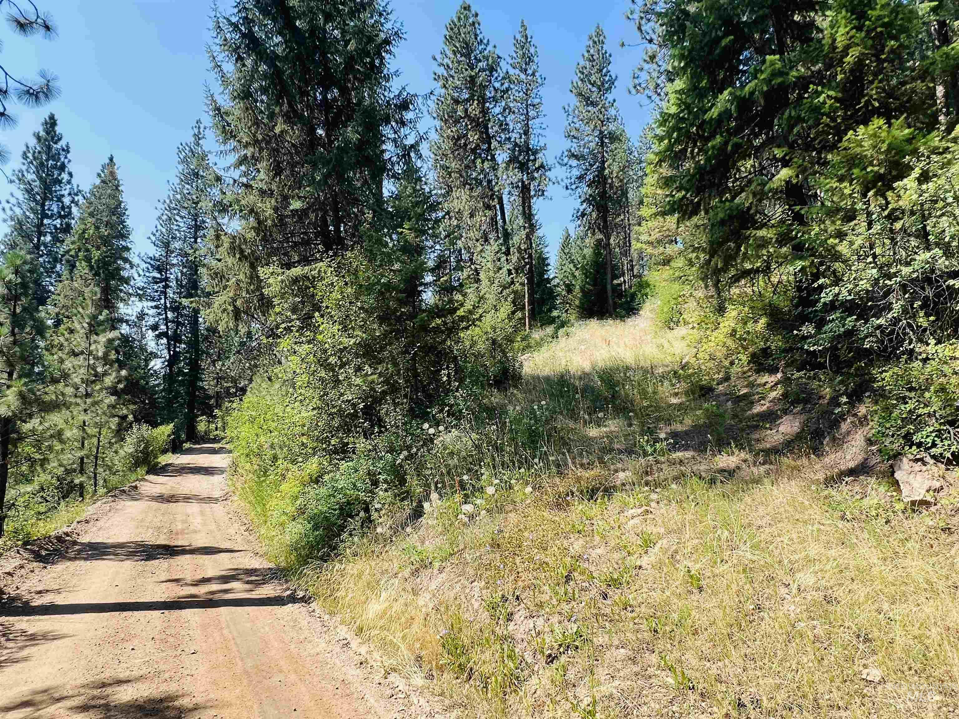 Lot 1 B6 Summerset Property Photo 15