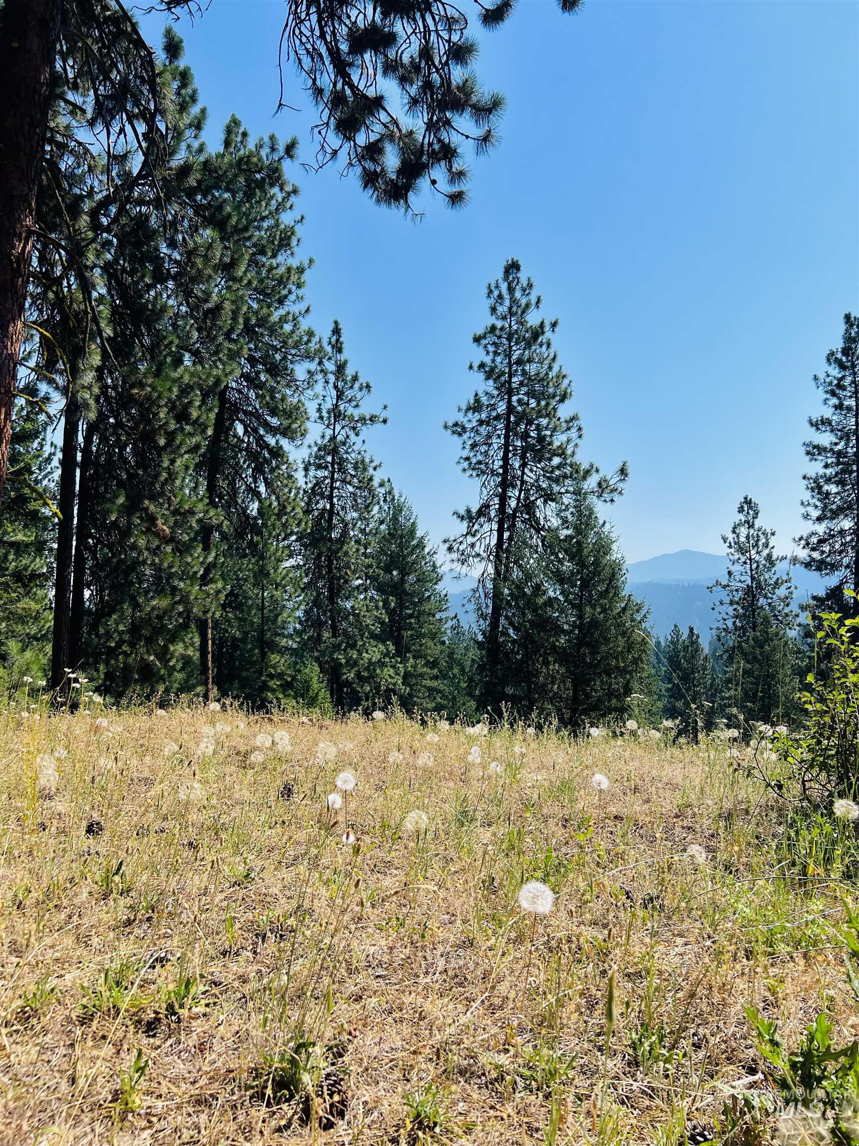 Lot 1 B6 Summerset Property Photo 16
