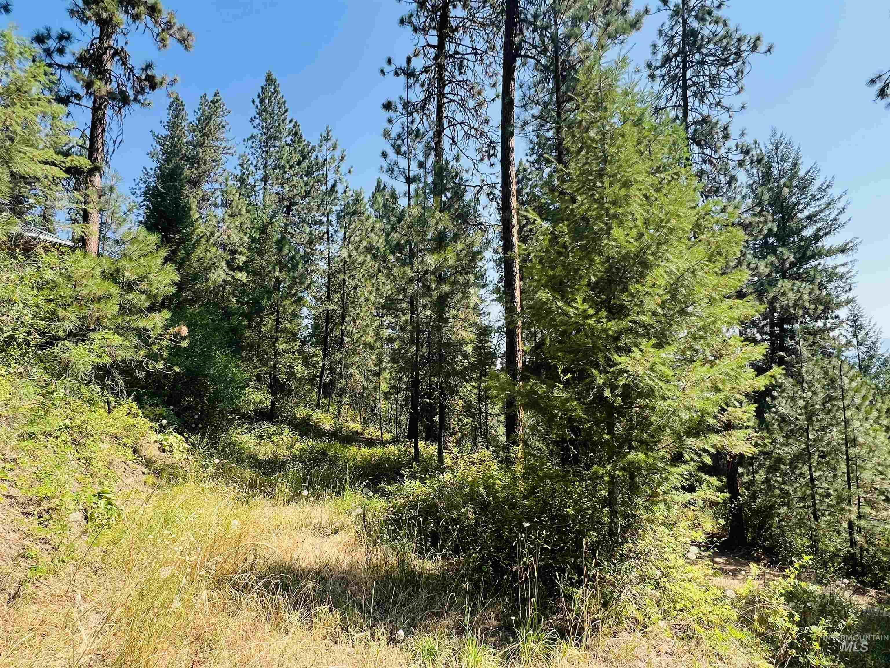 Lot 1 B6 Summerset Property Photo 17