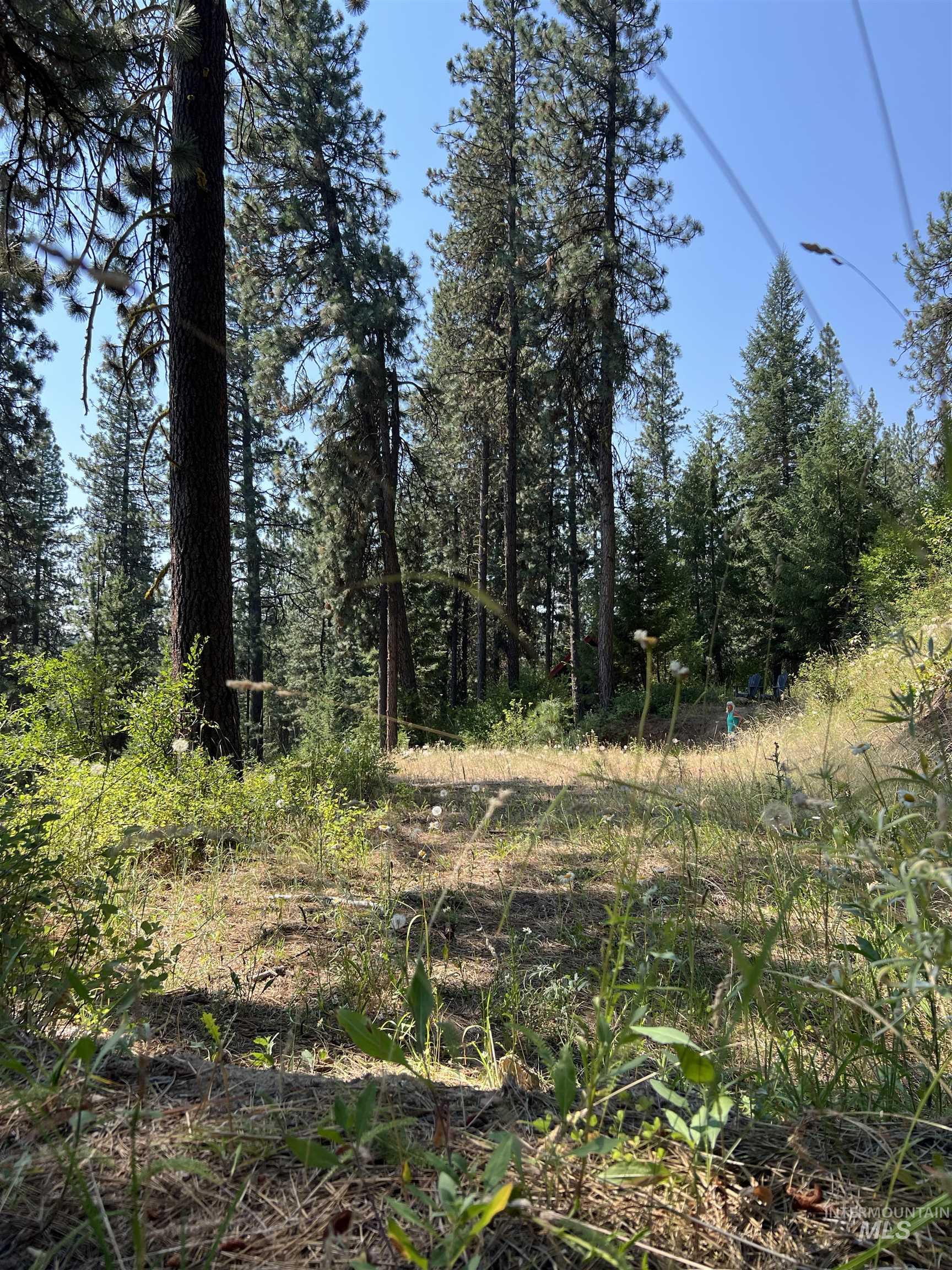Lot 1 B6 Summerset Property Photo 20