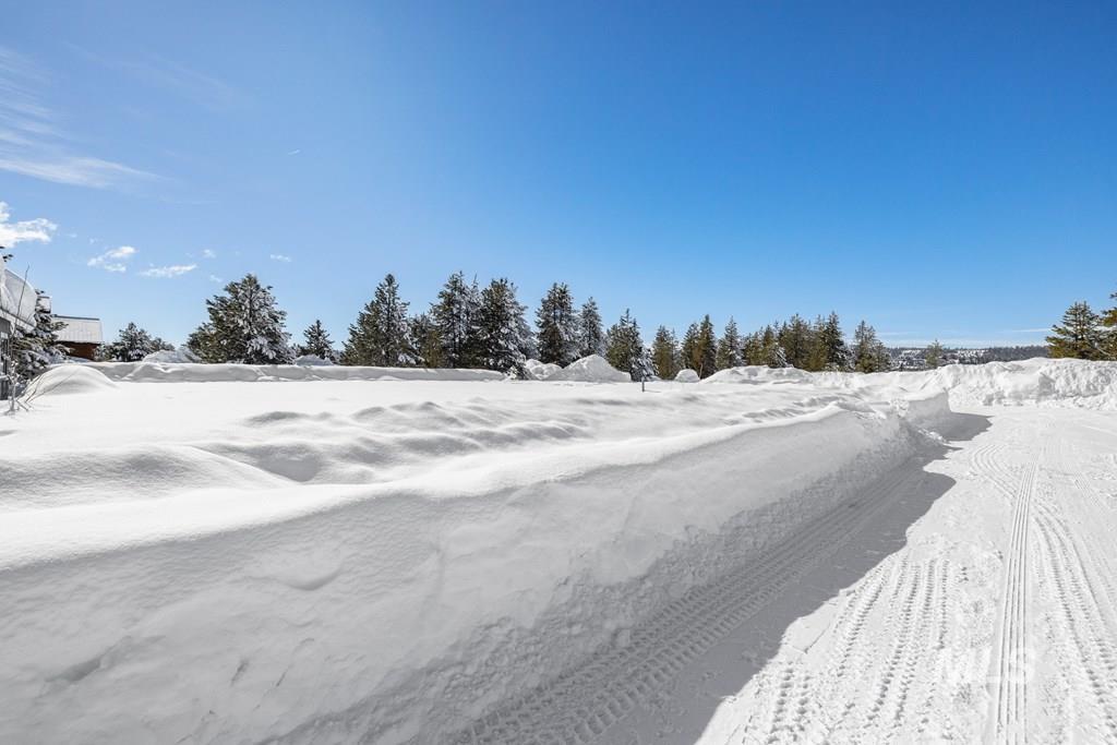 112 Bighorn Court Property Photo 16
