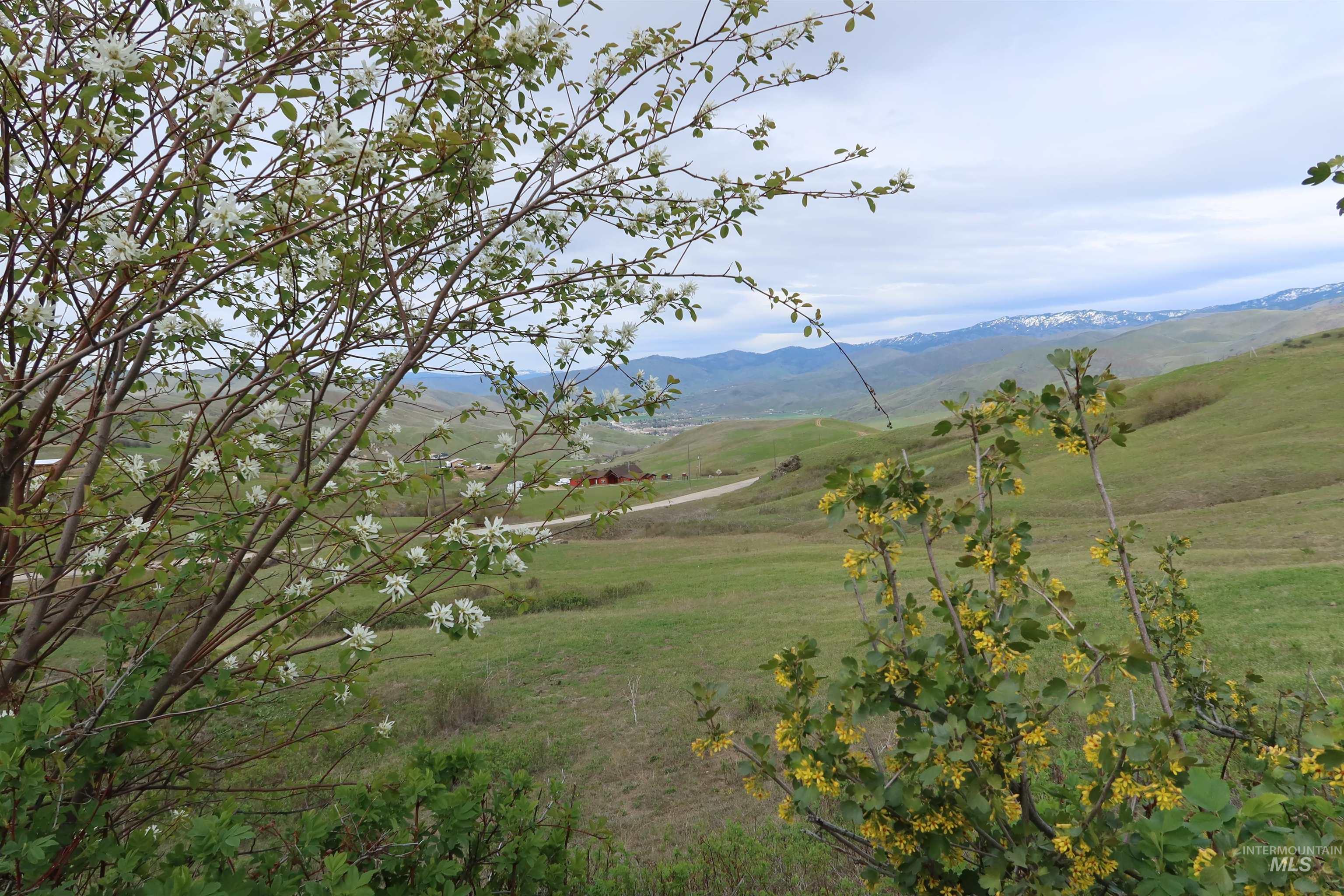 Tbd Summit Ridge Road Property Photo 19