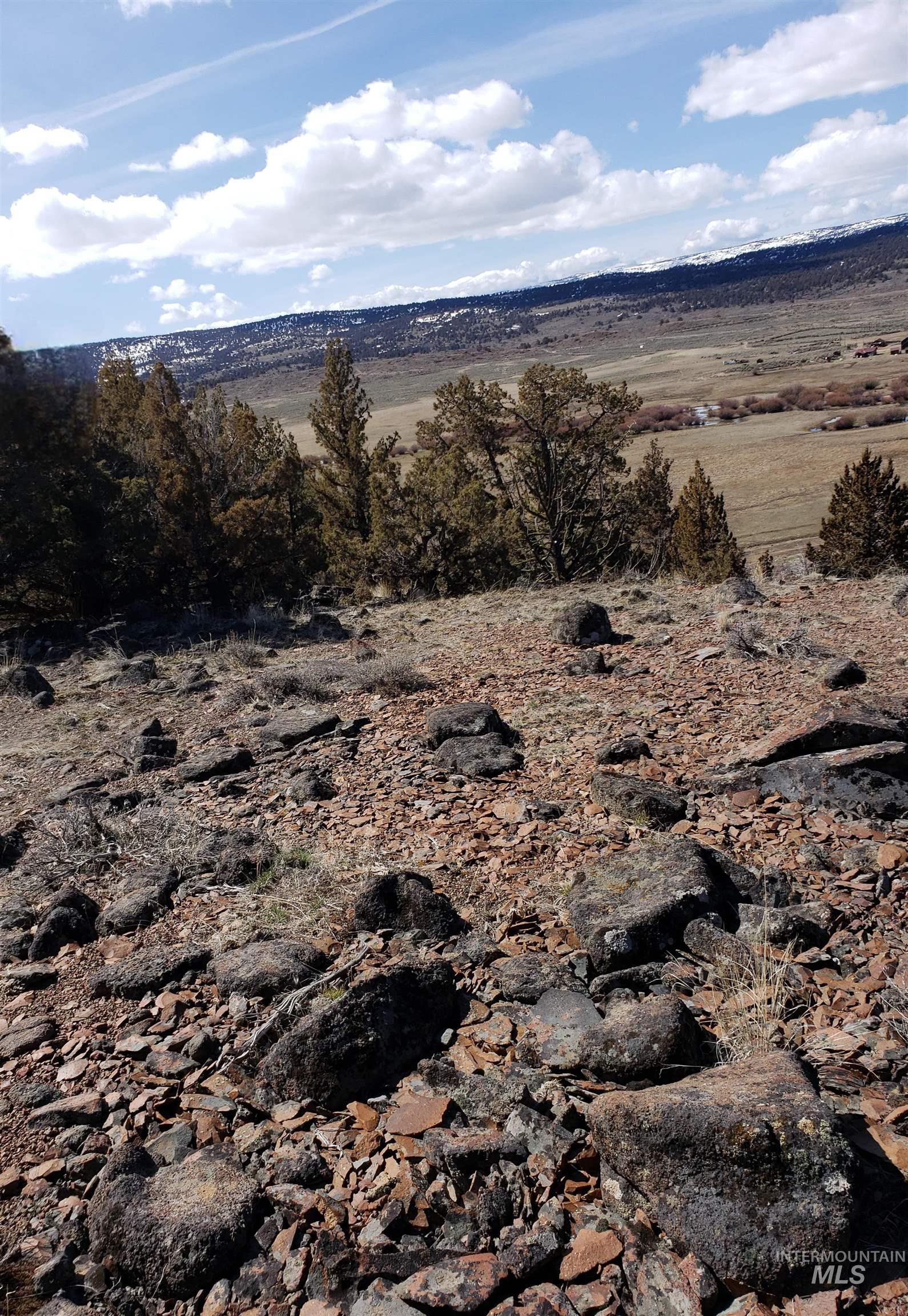 Tbd Tbd Tract 36 Triangle Ranch Property Photo 8