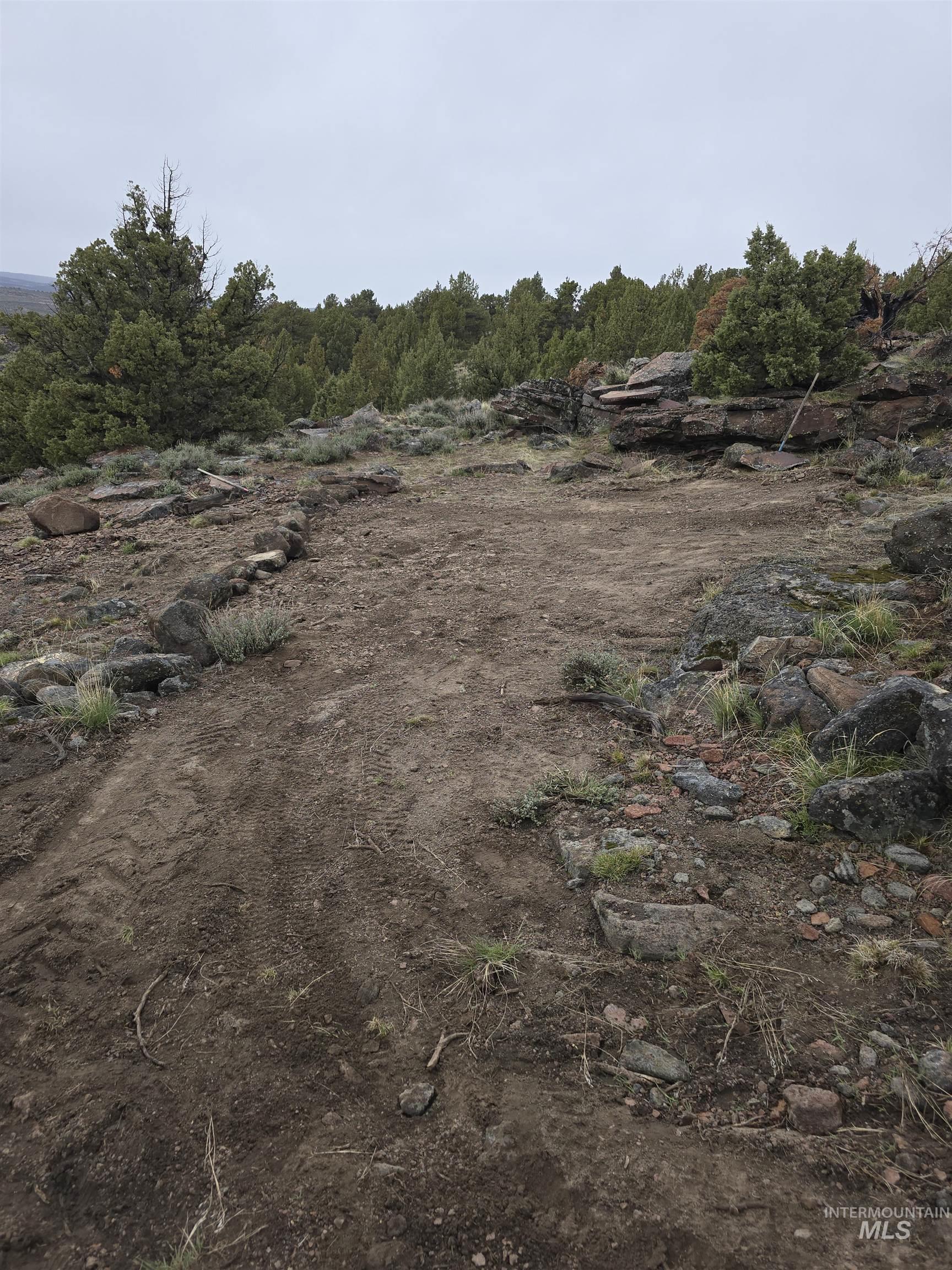 Tbd Tbd Tract 36 Triangle Ranch Property Photo 9