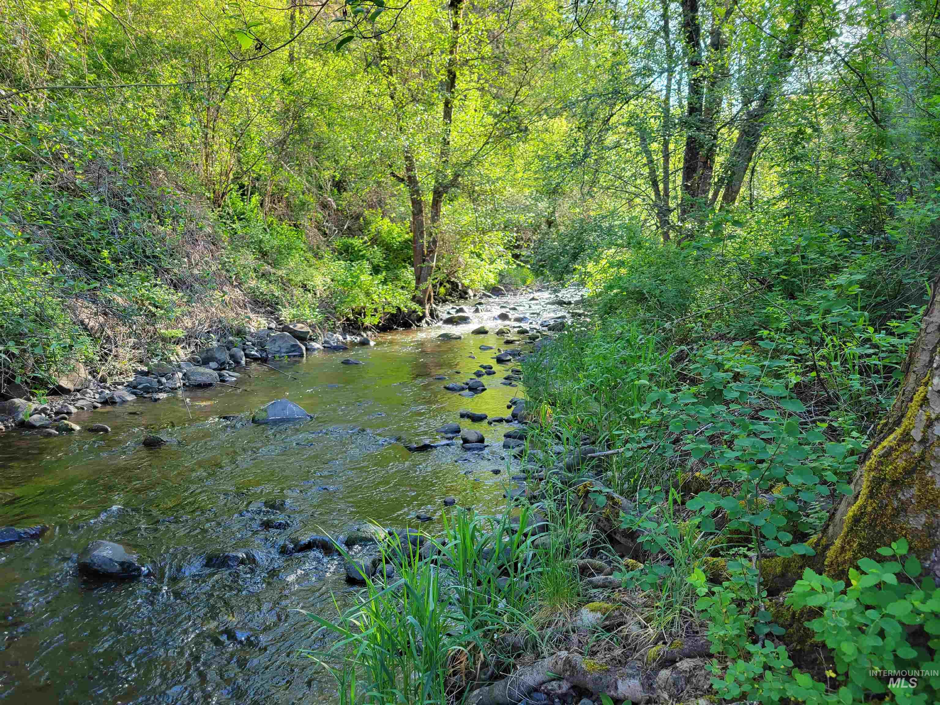 Tbd Twisted Tree Lane Property Photo 1