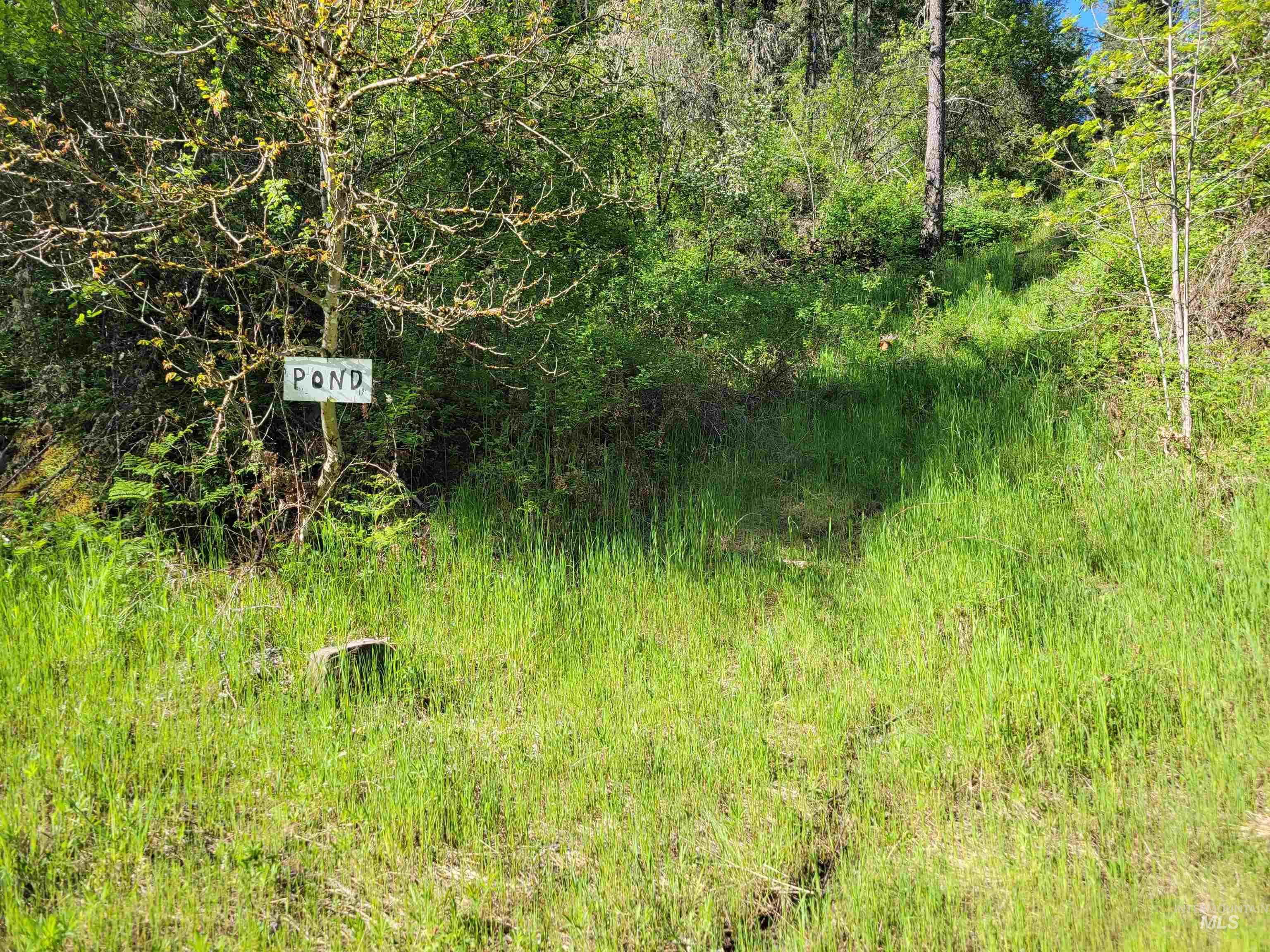 Tbd Twisted Tree Lane Property Photo 9
