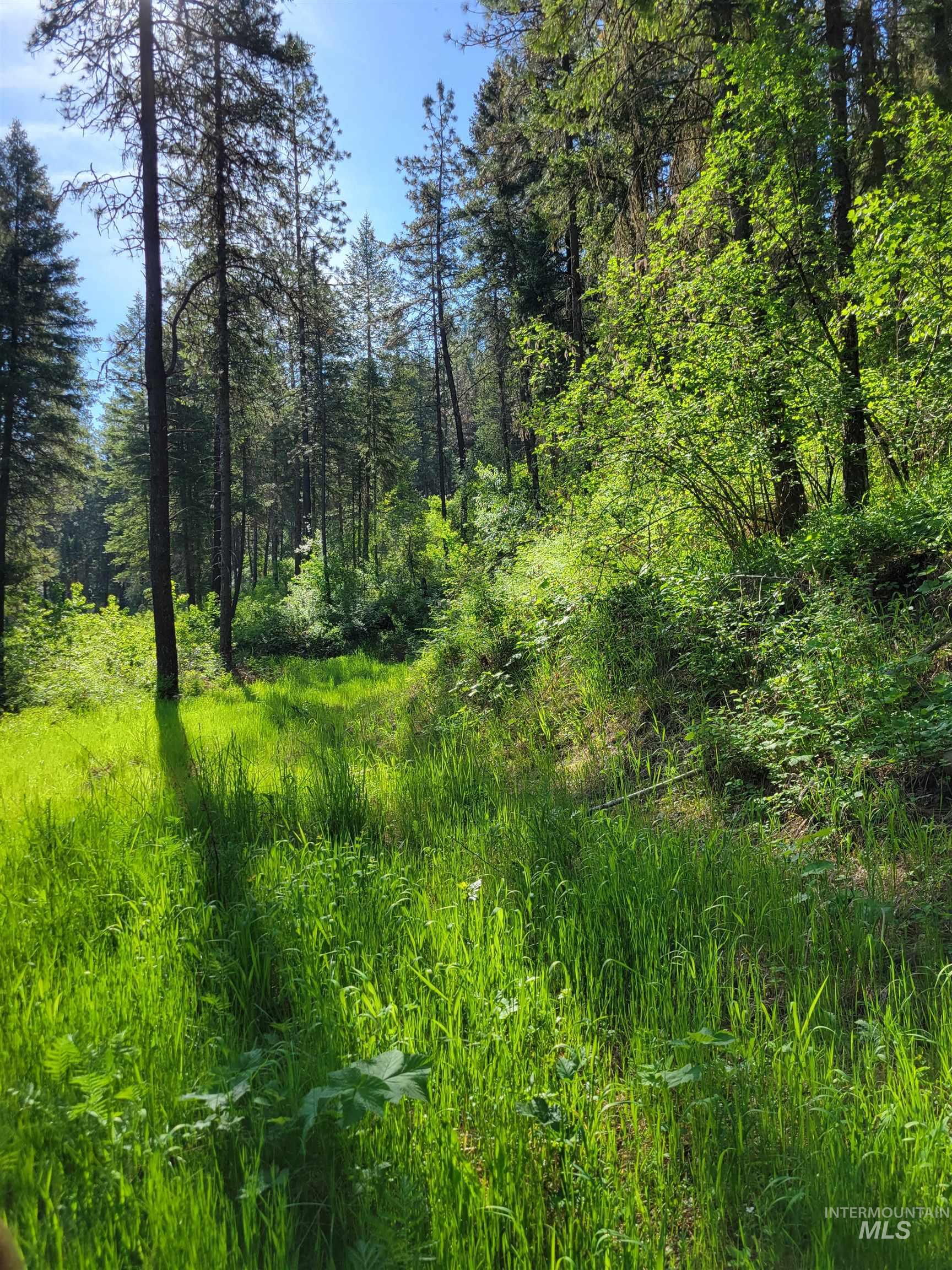 Tbd Twisted Tree Lane Property Photo 10