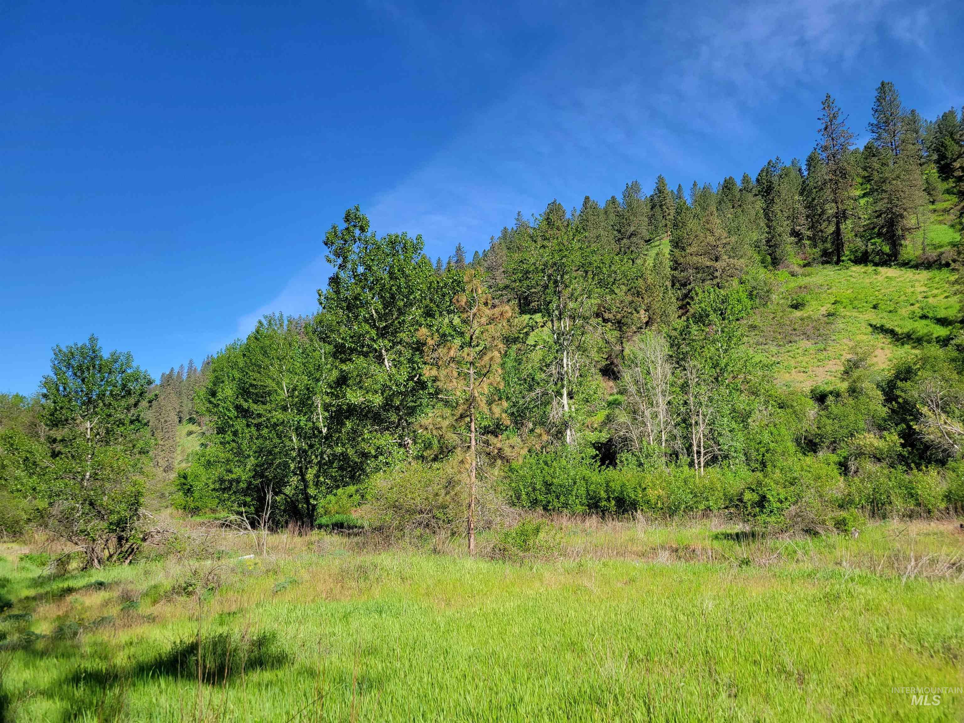 Tbd Twisted Tree Lane Property Photo 13