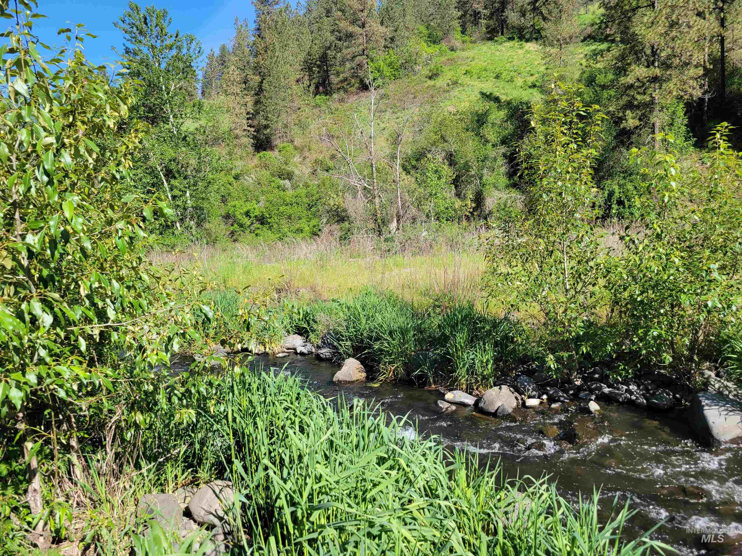 Tbd Twisted Tree Lane Property Photo 15