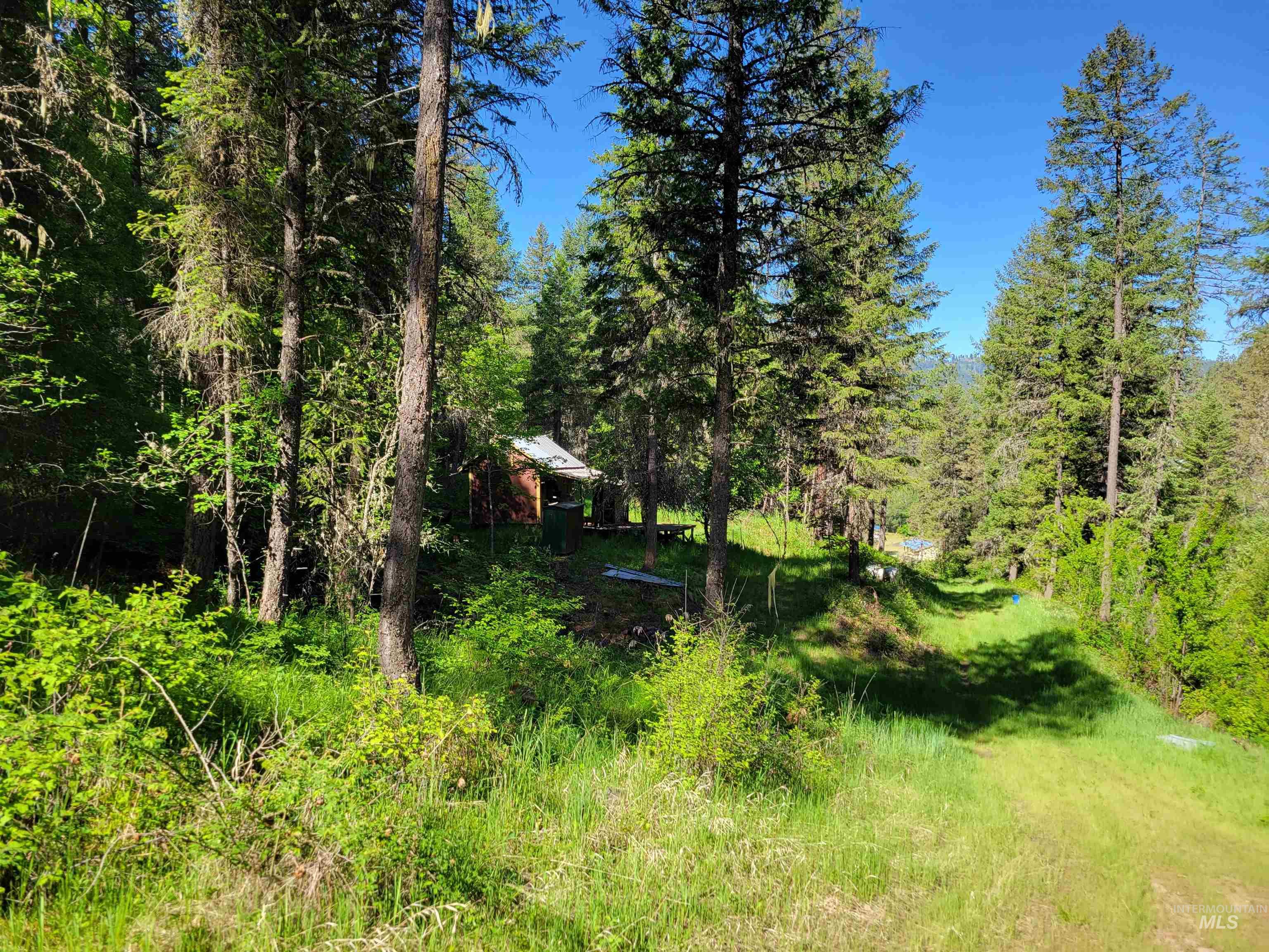 Tbd Twisted Tree Lane Property Photo 16