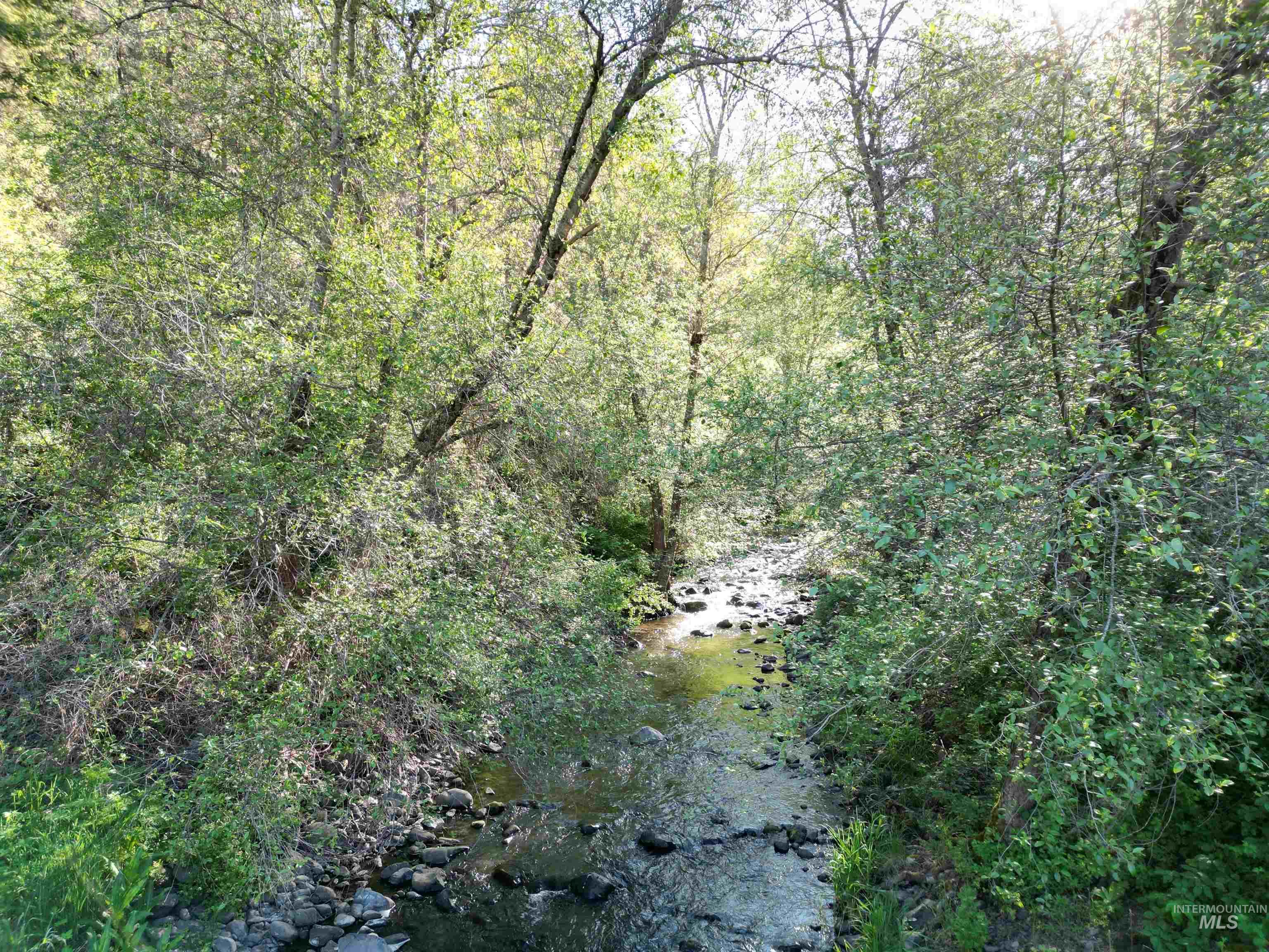 Tbd Twisted Tree Lane Property Photo 18